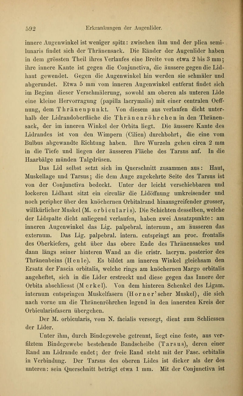 innere Augenwinkel ist weniger spitz: zwischen ihm und der plica semi- lunaris findet sich der Thränensack. Die Ränder der Augenlider haben in dem grössten Theil ihres Verlaufes eine Breite von etwa 2 bis 3 mm; ihre innere Kante ist gegen die Conjunctiva, die äussere gegen die Lid- haut gewendet. Gegen die Augenwinkel hin werden sie schmäler und abgerundet. Etwa 5 mm vom inneren Augenwinkel entfernt findet sich im Beginn dieser Verschmälerung, sowohl am oberen als unteren Lide eine kleine Hervorragimg (papilla lacrymalis) mit einer centralen Oeff- nung, dem Thränenpunkt. Von diesem aus verlaufen dicht unter- halb der Lidrandoberfläche die Thränenröhrchen in den Thränen- sack, der im inneren Winkel der Orbita liegt. Die äussere Kante des Lidrandes ist von den Wimpern (Cilien) durchbohrt, die eine vom Bulbus abgewandte Richtung haben. Ihre Wurzeln gehen circa 2 mm in die Tiefe und liegen der äusseren Fläche des Tarsus auf. In die Haarbälge münden Talgdrüsen. Das Lid selbst setzt sich im Querschnitt zusammen aus: Haut, Muskellage und Tarsus; die dem Auge zugekehrte Seite des Tarsus ist von der Conjunctiva bedeckt. Unter der leicht verschiebbaren und lockeren Lidhaut sitzt ein circulär die Lidöffnung umkreisender und noch peripher über den knöchernen Orbitalrand hinausgreifender grosser, willkürlicher Muskel (M. orbicularis). Die Schichten desselben, welche der Lidspalte dicht anliegend verlaufen, haben zwei Ansatzpunkte: am inneren Augenwinkel das Lig. palpebral. internum, am äusseren das externum. Das Lig. palpebral. intern, entspringt am proc. frontalis des Oberkiefers, geht über das obere Ende des Thränensackes und dann längs seiner hinteren Wand an die cristr. lacrym. posterior des Thränenbeins (Heule). Es bildet am inneren Winkel gleichsam den Ersatz der Fascia orbitalis, welche rings am knöchernen Margo orbitalis angeheftet, sich in die Lider erstreckt und diese gegen das Innere der Orbita abschliesst (Merkel). Von dem hinteren Schenkel des Ligam. internum entspringen Muskelfasern (Hörner'scher Muskel), die sich nach vorne um die Thränenröhrchen legend in den innersten Kreis der Orbicularisfasern übergehen. Der M. orbicularis, vom N. facialis versorgt, dient zum Schliessen der Lider. Unter ihm, durch Bindegewebe getrennt, liegt eine feste, aus ver- filztem Bindegewebe bestehende Bandscheibe (Tarsus), deren einer Rand am Lidrande endet; der freie Rand steht mit der Fase, orbitalis in Verbindung. Der Tarsus des oberen Lides ist dicker als der des unteren: sein Querschnitt beträgt etwa 1 mm. Mit der Conjunctiva ist