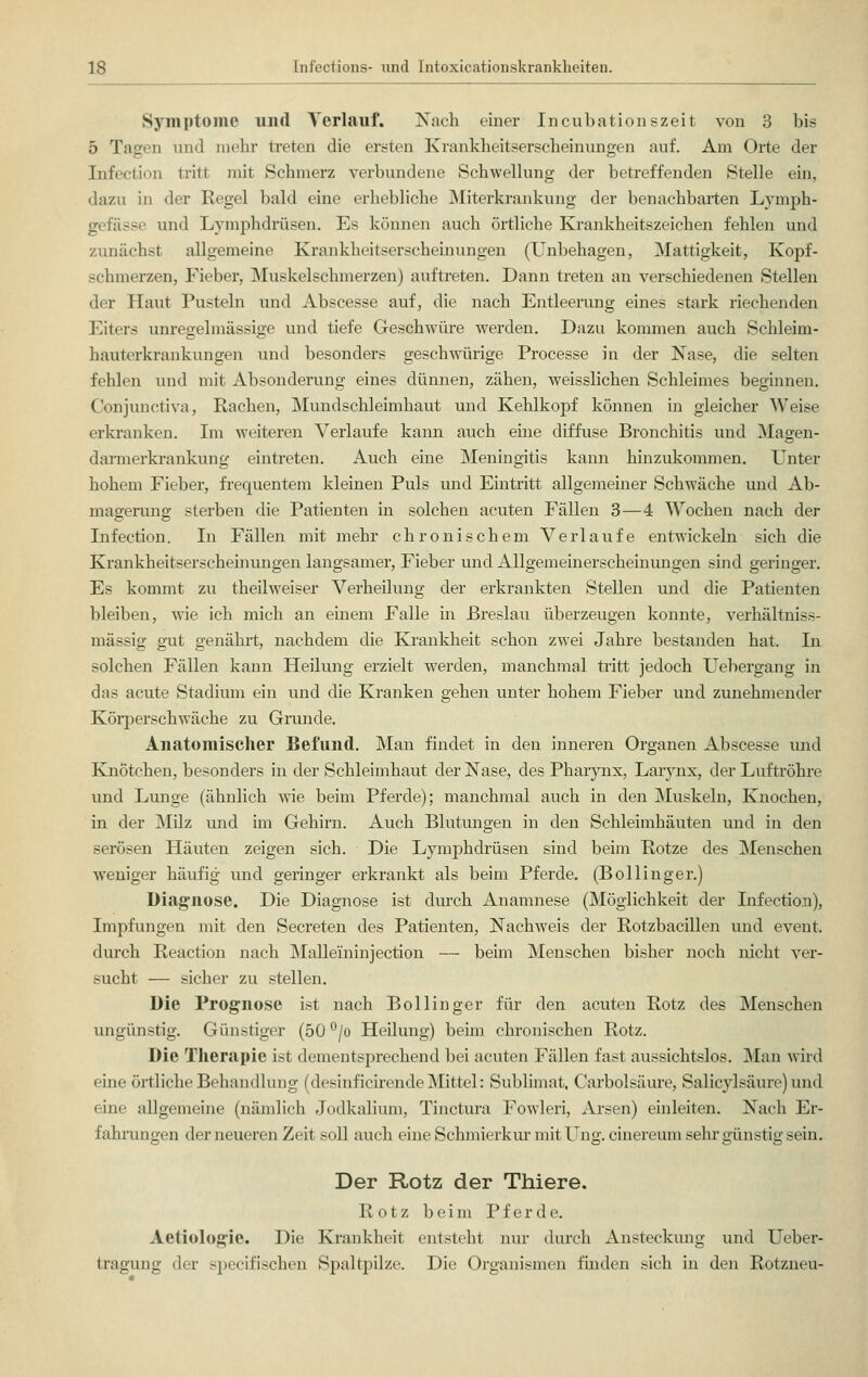 Symptome und Verlauf. Nach einer Incubationszeit von 3 bis 5 Tagen und mehr treten die ersten Krankheitserscheinungen auf. Am Orte der [nfection tritt mit Schmerz verbundene Schwellung der betreffenden Stelle ein, dazu in der Regel bald eine erhebliche Miterkrankung der benachbarten Lymph- gefässe und Lymphdrüsen. Es können auch örtliche Krankheitszeichen fehlen und zunächst allgemeine Krankheitserscheinungen (Unbehagen, Mattigkeit, Kopf- schmerzen, Fieber, Muskelschmerzen) auftreten. Dann treten an verschiedenen Stellen der Haut Pusteln und Abscesse auf, die nach Entleerung eines stark riechenden Eiters unregelmässige und tiefe Geschwüre werden. Dazu kommen auch Schleim- hauterkrankungen und besonders geschwürige Processe in der Nase, die selten fehlen und mit Absonderung eines dünnen, zähen, weisslichen Schleimes beginnen. Conjunctiva, Rachen, Mundschleimhaut und Kehlkopf können in gleicher Weise erkranken. Im weiteren Verlaufe kann auch eine diffuse Bronchitis und Magen- darmerkrankung eintreten. Auch eine Meningitis kann hinzukommen. Unter hohem Fieber, frequentem kleinen Puls und Eintritt allgemeiner Schwäche und Ab- magerung sterben die Patienten in solchen acuten Fällen 3—4 Wochen nach der Infection. In Fällen mit mehr chronischem Verlaufe entwickeln sich die Krankheitserscheinungen langsamer, Fieber und Allgemeinerscheinungen sind geringer. Es kommt zu theilweiser Verheilung der erkrankten Stellen und die Patienten bleiben, wie ich mich an einem Falle in Breslau überzeugen konnte, verhältniss- mässig gut genährt, nachdem die Krankheit schon zwei Jahre bestanden hat. In solchen Fällen kann Heilung erzielt werden, manchmal tritt jedoch Uebergang in das acute Stadium ein und die Kranken gehen unter hohem Fieber und zunehmender Körperschwäche zu Grunde. Anatomischer Befund. Man findet in den inneren Organen Abscesse und Knötchen, besonders in der Schleimhaut der Nase, des Pharynx, Larynx, der Luftröhre und Lunge (ähnlich wie beim Pferde); manchmal auch in den Muskeln, Knochen, in der Milz und im Gehirn. Auch Blutungen in den Schleimhäuten und in den serösen Häuten zeigen sich. Die Lymphdrüsen sind beim Kotze des Menschen weniger häufig und geringer erkrankt als beim Pferde. (Bollinger.) Diagnose. Die Diagnose ist durch Anamnese (Möglichkeit der Infection), Impfungen mit den Secreten des Patienten, Nachweis der Rotzbacillen und event. durch Reaction nach Malleininjection — beim Menschen bisher noch nicht ver- sucht — sicher zu stellen. Die Prognose ist nach Bollinger für den acuten Rotz des Menschen ungünstig. Günstiger (50 °/o Heilung) beim chronischen Rotz. Die Therapie ist dementsprechend bei acuten Fällen fast aussichtslos. Man wird eine örtliche Behandlung (desinficirende Mittel: Sublimat, Carbolsäure, Salicylsäure) und eine allgemeine (nämlich Jodkalium, Tinctura Fowleri, Arsen) einleiten. Nach Er- fahrungen der neueren Zeit soll auch eine Schmierkur mit Ung. cinereum sehr günstig sein. Der Rotz der Thiere. Rotz beim Pferde. Aetiologie. Die Krankheit entsteht nur durch Ansteckung und Ueber- tragung der specifischen Spaltpilze. Die Organismen finden sich in den Rotzneu-