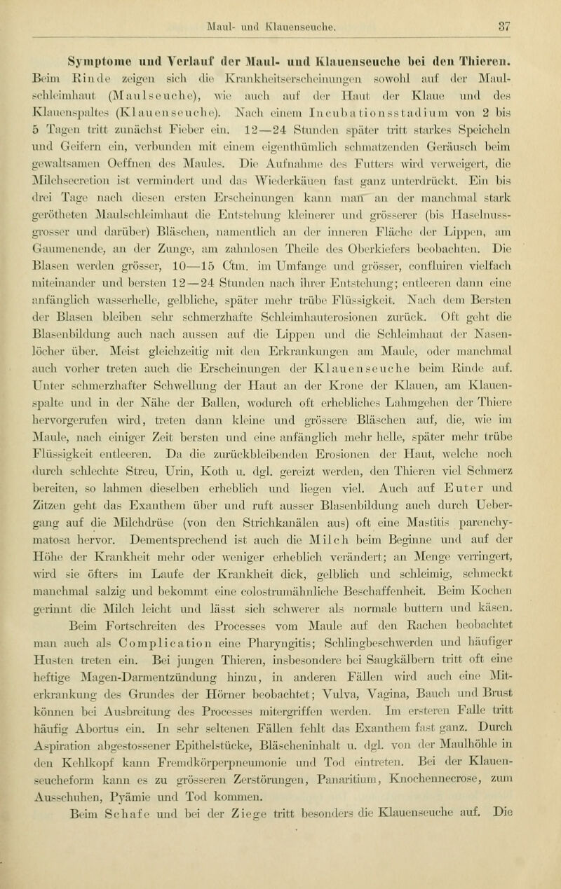 Symptome und Verlauf der Maul- und Klauenseuche bei den Thieren. Beim Rinde zeigen sich die Krankheitserscheinungen sowohl auf der Maul- schleimhaut (Maulseuche), wie auch auf der Haut der Klaue und des Klauenspaltes (Klauenseuche). Nach einem Incuhationsstadium von 2 bis 5 Tagen Irin zunächst Fieber ein. 12—24 Stunden später tritt starkes Speicheln und Geifern ein, verbunden mit einem eigentümlich schmalzenden Geräusch heim gewaltsamen Oeffnen des Maules. Die Aufnahme des Futters wird verweigert, die Milchsecretion ist vermindert und das Wiederkäuen fast ganz unterdrück!. Ein bis drei Tage nach diesen ersten Erscheinungen kann man an der manchmal stark gerötheten Maulschleimhaul die Entstehung kleinerer und grösserer (bis Haselnuss- gTOSSer lind darüber) Bläschen, namentlich an i\vr inneren Fläche i\vr läppen, am Gaumenende, an der Zunge, am zahnlosen Theile des Oberkiefers beobachten. Die Blasen werden grösser, 10—15 Clin, im Umfange und grösser, COnfluiren vielfach miteinander und bersten 12 — 24 Stunden nach ihrer Entstehung; entleeren dann eine anfänglich wasserhelle, gelbliche, später mehr trübe Flüssigkeit. Nach dem Bersten der Blasen bleiben sehr schmerzhafte Schleimhauterosionen zurück. Oft geht die Blasenbildung auch nach aussen auf die Lippen und die Schleimhaut der Nasen- löcher über. Meist gleichzeitig mit den Erkrankungen am Maule, oder manchmal auch vorher treten auch die Erscheinungen (hr Klauenseuche beim Rinde auf. Euter schmerzhafter Schwellung der Haut an der Krone der Klauen, am Klauen- spalte und in der Nähe der Ballen, wodurch oft erhebliches Lahmgehen der Thiere hervorgerufen wird, treten dann kleine und grössere Bläschen auf, die, wie im Maule, nach einiger Zeit bersten und eine anfänglich mehr helle, später mehr trübe Flüssigkeit entleeren. Da die zurückbleibenden Erosionen der Haut, welche noch durch schlechte Streu, Urin, Koth u. dgl. gereizt werden, den Thieren viel Schmerz bereiten, so lahmen dieselben erheblich und liegen viel. Auch auf Euter und Zitzen geht das Exanthem über und ruft ausser Blasenbildung auch durch Ueber- gang auf die Milchdrüse (von den Strichkanälen aus) oft eine Mastitis parenchy- matös;; hervor. Dementsprechend ist auch die Milch beim Beginne und auf der Höhe der Krankheit mehr oder weniger erheblich verändert; an Menge verringert, wird sie öfters im Laufe der Krankheit dick, gelblich und schleimig, schmeckt manchmal salzig und bekommt eine colostrumähnliche Beschaffenheit. Beim Kochen gerinnt die Milch leicht und lässt sich schwerer als normale buttern und käsen., Beim Fortschreiten des Processes vom Maule auf den Rachen beobachtet man auch als Complication eine Pharyngitis; Schlingbeschwerden und häufiger Husten treten ein. Bei jungen Thieren, insbesondere bei Saugkälbern tritt oft eine heftige Magen-Darmentzündung hinzu, in anderen Fällen wird auch eine Mit- erkrankung tk^ Grundes der Hörner beobachtet; Vulva, Vagina, Bauch und Brust können bei Ausbreitung i\cri Processi mitergriffen werden. Im ersteren Falle tritt häufig Abortus ein. In sehr seltenen Fällen fehlt das Exanthem fast ganz. Durch Aspiration abgestossener Epithelstücke, Bläscheninhalt u. dgl. von der Maulhöhle in den Kehlkopf kann Fremdkörperpneumonie und Tod eintreten. Bei der Klauen- seucheform kann es zu grösseren Zerstörungen, Panaritium, Knochennekrose, zum Ausschuhen, Pyämie und Tod kommen. Beim Schafe und bei der Ziege tritt besonders die Klauenseuche auf. Die