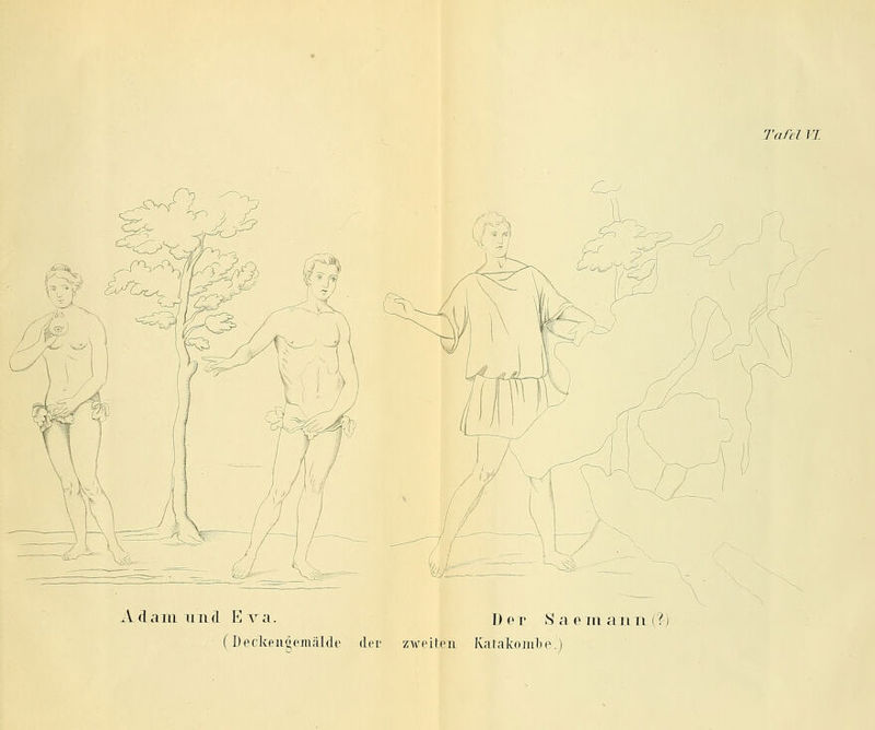 X d a in 11 iLd Eva. Der S a em ami (?;