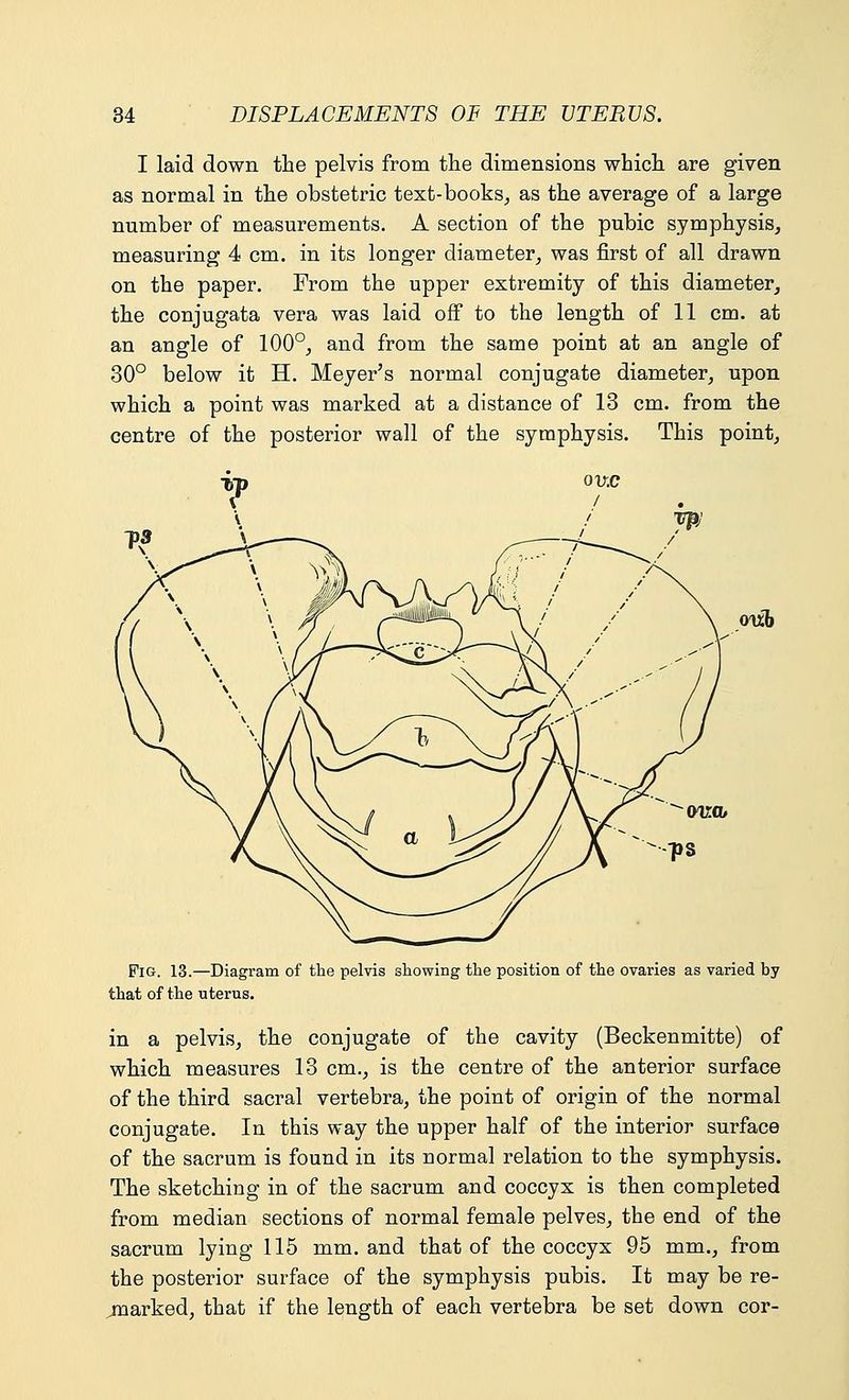 I laid down the pelvis from the dimensions which are given as normal in the obstetric text-books, as the average of a large number of measurements. A section of the pubic symphysis, measuring 4 cm. in its longer diameter, was first of all drawn on the paper. From the upper extremity of this diameter, the conjugata vera was laid off to the length of 11 cm. at an angle of 100°, and from the same point at an angle of 30° below it H. Meyer's normal conjugate diameter, upon which a point was marked at a distance of 13 cm. from the centre of the posterior wall of the symphysis. This point, Pig. 13.—Diagram of the pelvis showing the position of the ovaries as varied by that of the uterus. in a pelvis, the conjugate of the cavity (Beckenmitte) of which measures 13 cm., is the centre of the anterior surface of the third sacral vertebra, the point of origin of the normal conjugate. In this way the upper half of the interior surface of the sacrum is found in its uormal relation to the symphysis. The sketching in of the sacrum and coccyx is then completed from median sections of normal female pelves, the end of the sacrum lying 115 mm. and that of the coccyx 95 mm., from the posterior surface of the symphysis pubis. It may be re- marked, that if the length of each vertebra be set down cor-