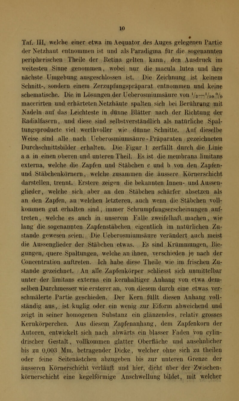 Taf. III, welche einer etwa im Aequator des Auges gelegenen Partie der Netzhaut entnommen ist und als Paradigma für die sogenannten peripherischen Theile der Retina gelten kann, den Ausdruck im weitesten Sinne genommen, wobei nur die macula lutea und ihre nächste Umgebung ausgeschlossen ist. Die Zeichnung ist keinem Schnitt-, sondern einem Zerzupfungspräparat entnommen und keine schematische. Die in Lösungen der Ueberosiniumsäure von Vfm1/*« % macerirten und erhärteten Netzhäute spalten sich bei Berührung mit Nadeln auf das Leichteste in dünne Blätter nach der Richtung der Radialfasern, und diese sind selbstverständlich als natürliche Spal- tungsproducte viel werthvoller wie dünne Schnitte. Auf dieselbe Weise sind alle nach Ueberosiniumsäure - Präparaten gezeichneten Durchschnittsbilder erhalten. Die Figur 1 zerfällt durch die Linie a a in einen oberen und unteren Theil. Es ist die membrana liinitans externa, welche die Zapfen und Stäbchen c und b von den Zapfen- und Stäbchenkörnern, welche zusammen die äussere Körnerschicht darstellen, trennt. Erstere zeigen die bekannten Innen- und Aussen- glieder, welche sich aber an den Stäbchen schärfer absetzen als an den Zapfen, an welchen letzteren, auch wenn die Stäbchen voll- kommen gut erhalten sind, immer Schrumpfungserscheinungen auf- treten, welche es auch in unserem Falle zweifelhaft machen, wie lang die sogenannten Zapfenstäbchen eigentlich im natürlichen Zu- stande gewesen seien. Die Ueberosmiunisäure verändert auch ineist die Aussenglieder der Stäbchen etwas. Es sind Krümmungen, Bie- gungen, quere Spaltungen, welche an ihnen, verschieden je nach der Concentration auftreten. Ich habe diese Theile wie im frischen Zu- stande gezeichnet. An alle Zapfenkörper schliesst sich unmittelbar unter der limitans externa ein kernhaltiger Anhang von etwa dem- selben Durchmesser wie ersterer an, von diesem durch eine etwas ver- schmälerte Partie geschieden. Der Kern füllt diesen Anhang voll- ständig aus,, ist kuglig oder ein wenig zur Eiform abweichend und zeigt in seiner homogenen Substanz ein glänzendes, relativ grosses Kernkörperchen. Aus diesem Zapfenanhang, dem Zapfenkorn der Autoren, entwickelt sich nach abwärts ein blasser Faden von cylin- drischer Gestalt, vollkommen glatter Oberfläche und ansehnlicher bis zu 0,003 Mm. betragender Dicke, welcher ohne sich zu theilen oder feine Seitenästchen abzugeben bis zur unteren Grenze der äusseren Körnerschicht verläuft und hier, dicht über der Zwischen- körnerschicht eine kegelförmige Anschwellung bildet, mit welcher