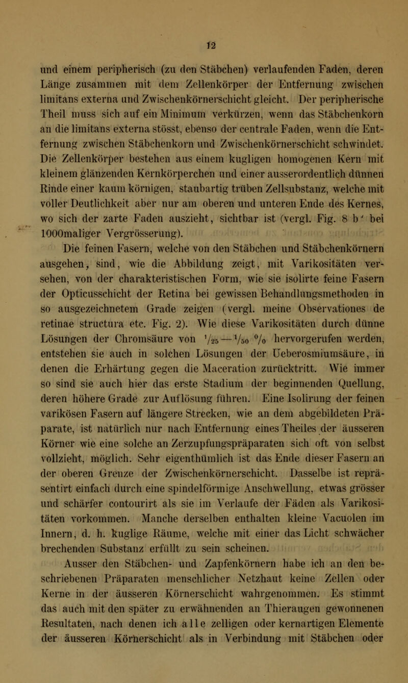 und einem peripherisch (zu den Stäbchen) verlaufenden Faden, deren Länge zusammen mit dem Zellenkörper der Entfernung zwischen limitans externa und Zwischenkörnerschicht gleicht. Der peripherische Theil muss sich auf ein Minimum verkürzen, wenn das Stäbchenkorn an die limitans externa stösst, ebenso der centrale Faden, wenn die Ent- fernung zwischen Stäbchenkorn und Zwischenkörnerschicht schwindet. Die Zellenkörper bestehen aus einem kugligen homogenen Kern mit kleinem glänzenden Kernkörperchen und einer ausserordentlich dünnen Rinde einer kaum körnigen, staubartig trüben Zellsubstanz, welche mit voller Deutlichkeit aber nur am oberen und unteren Ende des Kernes, wo sich der zarte Faden auszieht, sichtbar ist (vergl. Fig. 8 b' bei lOOOmaliger Vergrösserung). Die feinen Fasern, welche von den Stäbchen und Stäbchenkörnern ausgehen, sind, wie die Abbildung zeigt, mit Varikositäten ver- sehen, von der charakteristischen Form, wie sie isolirte feine Fasern der Opticusschicht der Retina bei gewissen Behandlungsmethoden in so ausgezeichnetem Grade zeigen (vergl. meine Observationes de retinae structura etc. Fig. 2). Wie diese Varikositäten durch dünne Lösungen der Chromsäure von 1/25— Vso % hervorgerufen werden, entstehen sie auch in solchen Lösungen der Ueberosmiumsäure, in denen die Erhärtung gegen die Maceration zurücktritt. Wie immer so sind sie auch hier das erste Stadium der beginnenden Quellung, deren höhere Grade zur Auflösung führen. Eine Isolirung der feinen varikösen Fasern auf längere Strecken, wie an dem abgebildeten Prä- parate, ist natürlich nur nach Entfernung eines Theiles der äusseren Körner wie eine solche an Zerzupfungspräparaten sich oft von selbst vollzieht, möglich. Sehr eigenthümlich ist das Ende dieser Fasern an der oberen Grenze der Zwischenkörnerschicht. Dasselbe ist reprä- sentirt einfach durch eine spindelförmige Anschwellung, etwas grösser und schärfer contourirt als sie im Verlaufe der Fäden als Varikosi- täten vorkommen. Manche derselben enthalten kleine Vacuolen im Innern, d. h. kuglige Räume, welche mit einer das Licht schwächer brechenden Substanz erfüllt zu sein scheinen. Ausser den Stäbchen- und Zapfenkörnern habe ich an den be- schriebenen Präparaten menschlicher Netzhaut keine Zellen oder Kerne in der äusseren Körnerschicht wahrgenommen. Es stimmt das auch mit den später zu erwähnenden an Thieraugen gewonnenen Resultaten, nach denen ich alle zelligen oder kernartigen Elemente der äusseren Körherschicht als in Verbindung mit Stäbchen oder