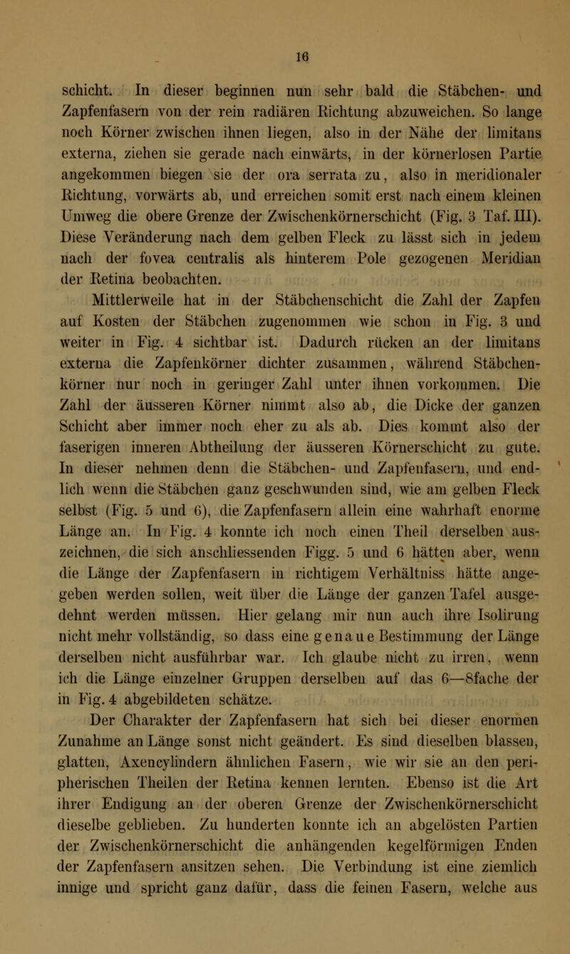 Schicht. In dieser beginnen nun sehr bald die Stäbchen- und Zapfenfasern von der rein radiären Richtung abzuweichen. So lange noch Körner zwischen ihnen liegen, also in der Nähe der limitans externa, ziehen sie gerade nach einwärts, in der körnerlosen Partie angekommen biegen sie der ora serrata zu, also in meridionaler Richtung, vorwärts ab, und erreichen somit erst nach einem kleinen Umweg die obere Grenze der Zwischenkörnerschicht (Fig. 3 Taf. III). Diese Veränderung nach dem gelben Fleck zu lässt sich in jedem nach der fovea centralis als hinterem Pole gezogenen Meridian der Retina beobachten. Mittlerweile hat in der Stäbchenschicht die Zahl der Zapfen auf Kosten der Stäbchen zugenommen wie schon in Fig. 3 und weiter in Fig. 4 sichtbar ist. Dadurch rücken an der limitans externa die Zapfenkörner dichter zusammen, während Stäbchen- körner nur noch in geringer Zahl unter ihnen vorkommen. Die Zahl der äusseren Körner nimmt also ab, die Dicke der ganzen Schicht aber immer noch eher zu als ab. Dies kommt also der faserigen inneren Abtheilung der äusseren Körnerschicht zu gute. In dieser nehmen denn die Stäbchen- und Zapfenfaseru, und end- lich wenn die Stäbchen ganz geschwunden sind, wie am gelben Fleck selbst (Fig. 5 und 6), die Zapfenfaseru allein eine wahrhaft enorme Länge an. In Fig. 4 konnte ich noch einen Theil derselben aus- zeichnen, die sich anschliessenden Figg. 5 und 6 hätten aber, wenn die Länge der Zapfenfasern in richtigem Verhältniss hätte ange- geben werden sollen, weit über die Länge der ganzen Tafel ausge- dehnt werden müssen. Hier gelang mir nun auch ihre Isolirung nicht mehr vollständig, so dass eine genaue Bestimmung der Länge derselben nicht ausführbar war. Ich glaube nicht zu irren, wenn ich die Länge einzelner Gruppen derselben auf das 6—8fache der in Fig. 4 abgebildeten schätze. Der Charakter der Zapfenfasern hat sich bei dieser enormen Zunahme an Länge sonst nicht geändert. Es sind dieselben blassen, glatten, Axencylindern ähnlichen Fasern, wie wir sie an den peri- pherischen Theilen der Retina kennen lernten. Ebenso ist die Art ihrer Endigung an der oberen Grenze der Zwischenkörnerschicht dieselbe geblieben. Zu hunderten konnte ich an abgelösten Partien der Zwischenkörnerschicht die anhängenden kegelförmigen Enden der Zapfenfasern ansitzen sehen. Die Verbindung ist eine ziemlich innige und spricht ganz dafür, dass die feinen Fasern, welche aus