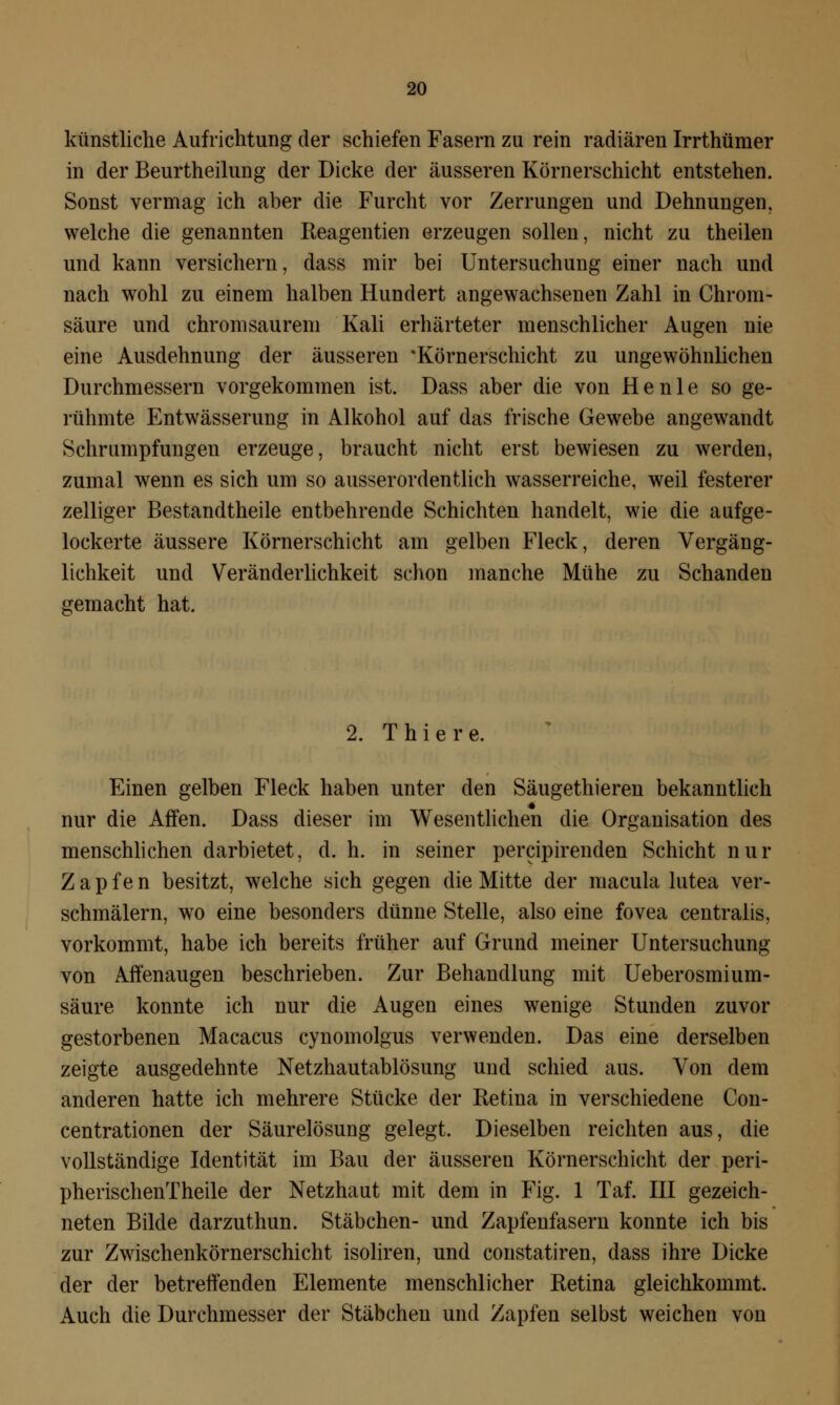 künstliche Aufrichtung der schiefen Fasern zu rein radiären Irrthümer in der Beurtheilung der Dicke der äusseren Körnerschicht entstehen. Sonst vermag ich aber die Furcht vor Zerrungen und Dehnungen, welche die genannten Reagentien erzeugen sollen, nicht zu theilen und kann versichern, dass mir bei Untersuchung einer nach und nach wohl zu einem halben Hundert angewachsenen Zahl in Chrom- säure und chromsaurem Kali erhärteter menschlicher Augen nie eine Ausdehnung der äusseren *Körnerschicht zu ungewöhnlichen Durchmessern vorgekommen ist. Dass aber die von He nie so ge- rühmte Entwässerung in Alkohol auf das frische Gewebe angewandt Schrumpfungen erzeuge, braucht nicht erst bewiesen zu werden, zumal wenn es sich um so ausserordentlich wasserreiche, weil festerer zelliger Bestandtheile entbehrende Schichten handelt, wie die aufge- lockerte äussere Körnerschicht am gelben Fleck, deren Vergäng- lichkeit und Veränderlichkeit schon manche Mühe zu Schanden gemacht hat. 2. Thiere. Einen gelben Fleck haben unter den Säugethieren bekanntlich nur die Affen. Dass dieser im Wesentlichen die Organisation des menschlichen darbietet, d. h. in seiner percipirenden Schicht nur Z a p f e n besitzt, welche sich gegen die Mitte der macula lutea ver- schmälern, wo eine besonders dünne Stelle, also eine fovea centralis, vorkommt, habe ich bereits früher auf Grund meiner Untersuchung von Affenaugen beschrieben. Zur Behandlung mit Ueberosmium- säure konnte ich nur die Augen eines wenige Stunden zuvor gestorbenen Macacus cynomolgus verwenden. Das eine derselben zeigte ausgedehnte Netzhautablösung und schied aus. Von dem anderen hatte ich mehrere Stücke der Retina in verschiedene Con- centrationen der Säurelösung gelegt. Dieselben reichten aus, die vollständige Identität im Bau der äusseren Körnerschicht der peri- pherischenTheile der Netzhaut mit dem in Fig. 1 Taf. III gezeich- neten Bilde darzuthun. Stäbchen- und Zapfenfasern konnte ich bis zur Zwischenkörnerschicht isoliren, und constatiren, dass ihre Dicke der der betreffenden Elemente menschlicher Retina gleichkommt. Auch die Durchmesser der Stäbchen und Zapfen selbst weichen von