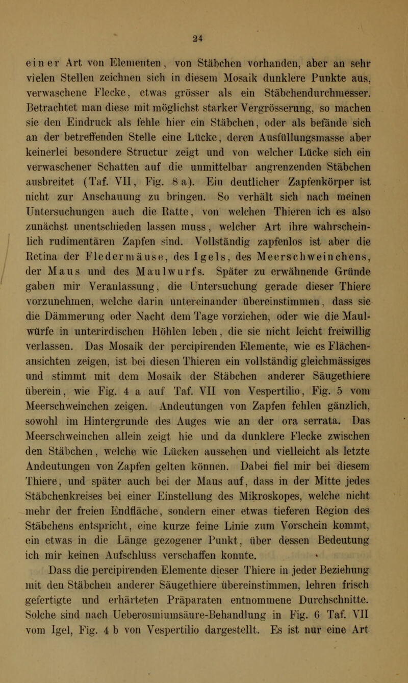 einer Art von Elementen, von Stäbchen vorhanden, aber an sehr vielen Stellen zeichnen sich in diesem Mosaik dunklere Punkte aus, verwaschene Flecke, etwas grösser als ein Stäbchendurchmesser. Betrachtet man diese mit möglichst starker Vergrösserung, so machen sie den Eindruck als fehle hier ein Stäbchen, oder als befände sich an der betreffenden Stelle eine Lücke, deren Ausfüllungsmasse aber keinerlei besondere Structur zeigt und von welcher Lücke sich ein verwaschener Schatten auf die unmittelbar angrenzenden Stäbchen ausbreitet (Taf. VII, Fig. 8 a). Ein deutlicher Zapfenkörper ist nicht zur Anschauung zu bringen. So verhält sich nach meinen Untersuchungen auch die Ratte, von welchen Thieren ich es also zunächst unentschieden lassen muss, welcher Art ihre wahrschein- lich rudimentären Zapfen sind. Vollständig zapfenlos ist aber die Retina der Fledermäuse, des Igels, des Meerschweinchens, der Maus und des Maulwurfs. Später zu erwähnende Gründe gaben mir Veranlassung, die Untersuchung gerade dieser Thiere vorzunehmen, welche darin untereinander übereinstimmen. dass sie die Dämmerung oder Nacht dem Tage vorziehen, oder wie die Maul- würfe in unterirdischen Höhlen leben, die sie nicht leicht freiwillig verlassen. Das Mosaik der percipirenden Elemente, wie es Flächen- ansichten zeigen, ist bei diesen Thieren ein vollständig gleichmässiges und stimmt mit dem Mosaik der Stäbchen anderer Säugethiere überein, wie Fig. 4 a auf Taf. VII von Vespertilio, Fig. 5 vom Meerschweinchen zeigen. Andeutungen von Zapfen fehlen gänzlich, sowohl im Hintergründe des Auges wie an der ora serrata. Das Meerschweinchen allein zeigt hie und da dunklere Flecke zwischen den Stäbchen, welche wie Lücken aussehen und vielleicht als letzte Andeutungen von Zapfen gelten können. Dabei fiel mir bei diesem Thiere, und später auch bei der Maus auf, dass in der Mitte jedes Stäbchenkreises bei einer Einstellung des Mikroskopes, welche nicht mehr der freien Endfläche, sondern einer etwas tieferen Region des Stäbchens entspricht, eine kurze feine Linie zum Vorschein kommt, ein etwas in die Länge gezogener Punkt, über dessen Bedeutung ich mir keinen Aufschluss verschaffen konnte. Dass die percipirenden Elemente dieser Thiere in jeder Beziehung mit den Stäbchen anderer Säugethiere übereinstimmen, lehren frisch gefertigte und erhärteten Präparaten entnommene Durchschnitte. Solche sind nach Ueberosiniuinsäure-Behandlung in Fig. 6 Taf. VII vom Igel, Fig. 4 b von Vespertilio dargestellt. Es ist nur eine Art