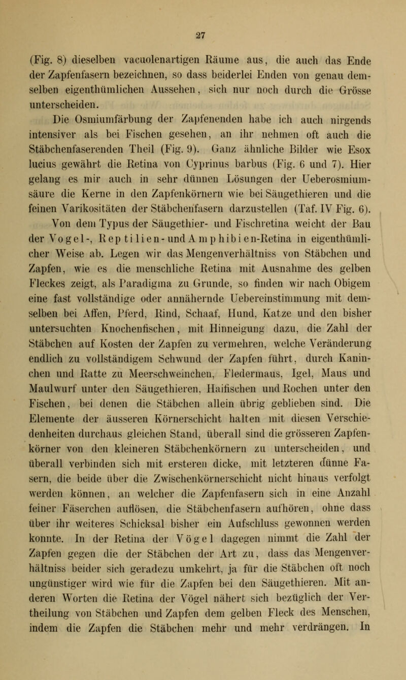 (Fig. 8) dieselben vacuolenartigen Räume aus, die auch das Ende der Zapfenfasern bezeichnen, so dass beiderlei Enden von genau dem- selben eigentümlichen Aussehen, sich nur noch durch die Grösse unterscheiden. Die Osmiumfärbung der Zapfenenden habe ich auch nirgends intensiver als bei Fischen gesehen, an ihr nehmen oft auch die Stäbchenfaserenden Theil (Fig. 9). Ganz ähnliche Bilder wie Esox lucius gewährt die Retina von Cyprinus barbus (Fig. 6 und 7). Hier gelang es mir auch in sehr dünnen Lösungen der Ueberosmium- säure die Kerne in den Zapfenkörnern wie bei Säugethieren und die feinen Varikositäten der Stäbchenfasern darzustellen (Taf. IV Fig. 6). Von dem Typus der Säugethier- und Fischretina weicht der Bau der Vogel-, Reptilien- und Amphibie n-Retina in eigenthümli- cher Weise ab. Legen wir das Mengenverhältniss von Stäbchen und Zapfen, wie es die menschliche Retina mit Ausnahme des gelben Fleckes zeigt, als Paradigma zu Grunde, so finden wir nach Obigem eine fast vollständige oder annähernde Uebereinstimmung mit dem- selben bei Affen, Pferd, Rind, Schaaf, Hund, Katze und den bisher untersuchten Knochenfischen, mit Hinneigung dazu, die Zahl der Stäbchen auf Kosten der Zapfen zu vermehren, welche Veränderung endlich zu vollständigem Schwund der Zapfen führt, durch Kanin- chen und Ratte zu Meerschweinchen, Fledermaus, Igel, Maus und Maulwurf unter den Säugethieren, Haifischen und Rochen unter den Fischen, bei denen die Stäbchen allein übrig geblieben sind. Die Elemente der äusseren Körnerschicht halten mit diesen Verschie- denheiten durchaus gleichen Stand, überall sind die grösseren Zapfen- körner von den kleineren Stäbchenkörnern zu unterscheiden, und überall verbinden sich mit ersteren dicke, mit letzteren dünne Fa- sern, die beide über die Zwischenkörnerschicht nicht hinaus verfolgt werden können, an welcher die Zapfenfasern sich in eine Anzahl feiner Fäserchen auflösen, die Stäbchenfasern aufhören, ohne dass über ihr weiteres Schicksal bisher ein Aufschluss gewonnen werden konnte. In der Retina der Vögel dagegen nimmt die Zahl der Zapfen gegen die der Stäbchen der Art zu, dass das Mengenver- hältniss beider sich geradezu umkehrt, ja für die Stäbchen oft noch ungünstiger wird wie für die Zapfen bei den Säugethieren. Mit an- deren Worten die Retina der Vögel nähert sich bezüglich der Ver- keilung von Stäbchen und Zapfen dem gelben Fleck des Menschen, indem die Zapfen die Stäbchen mehr und mehr verdrängen. In