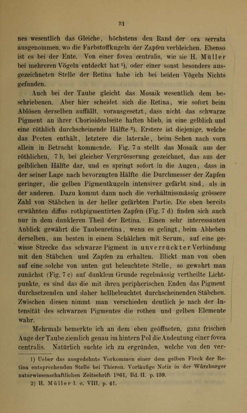 81 nes wesentlich das Gleiche, höchstens den Rand der ora serrata ausgenommen, wo die Farbstoffkugeln der Zapfen verbleichen. Ebenso ist es bei der Ente. Von einer fovea centralis, wie sie H. Müller bei mehreren Vögeln entdeckt hatx), oder einer sonst besonders aus- gezeichneten Stelle der Retina habe ich bei beiden Vögeln Nichts gefunden. Auch bei der Taube gleicht das Mosaik wesentlich dem be- schriebenen. Aber hier scheidet sich die Retina, wie sofort beim Ablösen derselben auffällt, vorausgesetzt, dass nicht das schwarze Pigment an ihrer Chorioidealseite haften blieb, in eine gelblich und eine röthlich durchscheinende Hälfte 2). Erstere ist diejenige, welche das Pecten enthält, letztere die laterale, beim Sehen nach vorn allein in Betracht kommende. Fig. 7 a stellt das Mosaik aus der röthlichen, 7 b, bei gleicher Vergrösserung gezeichnet, das aus der gelblichen Hälfte dar, und es springt sofort in die Augen, dass in der seiner Lage nach bevorzugten Hälfte die Durchmesser der Zapfen geringer, die gelben Pigmentkugeln intensiver gefärbt sind, als in der anderen. Dazu kommt dann noch die verhältnissmässig grössere Zahl von Stäbchen in der heller gefärbten Partie. Die oben bereits erwähnten diffus rothpigmentirten Zapfen (Fig. 7 d) finden sich auch nur in dem dunkleren Theil der Retina. Einen sehr interessanten Anblick gewährt die Taubenretina, wenn es gelingt, beim Abheben derselben, am besten in einem Schälchen mit Serum, auf eine ge- wisse Strecke das schwarze Pigment in unverrückt er Verbindung mit den Stäbchen und Zapfen zu erhalten. Blickt man von oben auf eine solche von unten gut beleuchtete Stelle, so gewahrt man zunächst (Fig. 7 c) auf dunklem Grunde regelmässig vertheilte Licht- punkte, es sind das die mit ihren peripherischen Enden das Pigment durchsetzenden und daher hellbeleuchtet durchscheinenden Stäbchen. Zwischen diesen nimmt man verschieden deutlich je nach der In- tensität des schwarzen Pigmentes die rothen und gelben Elemente wahr. Mehrmals bemerkte ich an dem eben geöffneten, ganz frischen Auge der Taube ziemlich genau im hintern Pol die Andeutung einer fovea centralis. Natürlich suchte ich zu ergründen, welche von den ver- 1) Ueber das ausgedehnte Vorkommen einer dem gelben Fleck der Re- tina entsprechenden Stelle bei Thieren. Vorläufige Notiz in der Würzburger naturwissenschaftlichen Zeitschrift 1H61, Bd. II. p. 139.