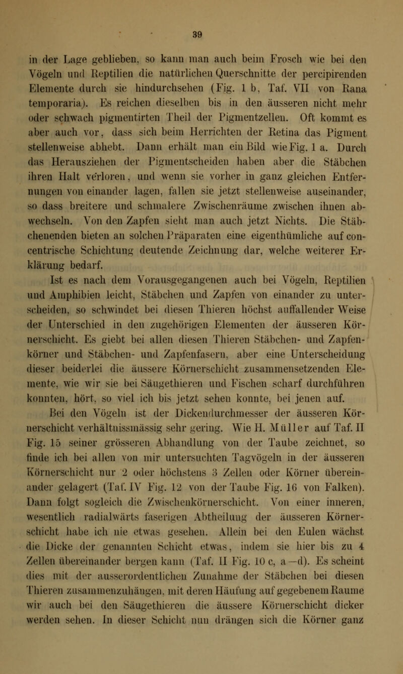 in der Lage geblieben, so kann man auch beim Frosch wie bei den Vögeln und Reptilien die natürlichen Querschnitte der percipirenden Elemente durch sie hindurchsehen (Fig. 1 b, Taf. VII von Rana temporaria). Es reichen dieselben bis in den äusseren nicht mehr oder schwach pigmentirten Theil der Pigmentzellen. Oft kommt es aber auch vor, dass sich beim Herrichten der Retina das Pigment stellenweise abhebt. Dann erhält man ein Bild wie Fig. 1 a. Durch das Herausziehen der Pigmentscheiden haben aber die Stäbchen ihren Halt verloren, und wenn sie vorher in ganz gleichen Entfer- nungen von einander lagen, fallen sie jetzt stellenweise auseinander, so dass breitere und schmalere Zwischenräume zwischen ihnen ab- wechseln. Von den Zapfen sieht man auch jetzt Nichts. Die Stäb- chenenden bieten an solchen Präparaten eine eigenthümliche auf con- centrische Schichtung- deutende Zeichnung dar, welche weiterer Er- klärung bedarf. Ist es nach dem Vorausgegangenen auch bei Vögeln, Reptilien und Amphibien leicht, Stäbchen und Zapfen von einander zu unter- scheiden, so schwindet bei diesen Thieren höchst auffallender Weise der Unterschied in den zugehörigen Elementen der äusseren Kör- nerschicht. Es giebt bei allen diesen Thieren Stäbchen- und Zapfen- körner und Stäbchen- und Zapfenfasern, aber eine Unterscheidung dieser beiderlei die äussere Körnerschicht zusammensetzenden Ele- mente, wie wir sie bei Säugethieren und Fischen scharf durchführen konnten, hört, so viel ich bis jetzt sehen konnte, bei jenen auf. Bei den Vögeln ist der Dickendurchmesser der äusseren Kör- nerschicht verhältnissmässig sehr gering. Wie 11. Müller auf Taf. II Fig. 15 seiner grösseren Abhandlung von der Taube zeichnet, so tinde ich bei allen von mir untersuchten Tagvögeln in der äusseren Körnerschicht nur 2 oder höchstens 3 Zellen oder Körner überein- ander gelagert (Taf. IV Fig. 12 von der Taube Fig. 16 von Falken). Dann folgt sogleich die Zwischenkörnerschicht. Von einer inneren, wesentlich radialwärts faserigen Abtheilung der äusseren Körner- schicht habe ich nie etwas gesehen. Allein bei den Eulen wächst die Dicke der genannten Schicht etwas, indem sie hier bis zu 4 Zellen übereinander bergen kann (Taf. II Fig. 10 c, a—d). Es scheint dies mit der ausserordentlichen Zunahme der Stäbchen bei diesen Thieren zusammenzuhängen, mit deren Häufung auf gegebenem Räume wir auch bei den Säugethieren die äussere Körnerschicht dicker werden sehen. In dieser Schicht nun drängen sich die Körner ganz