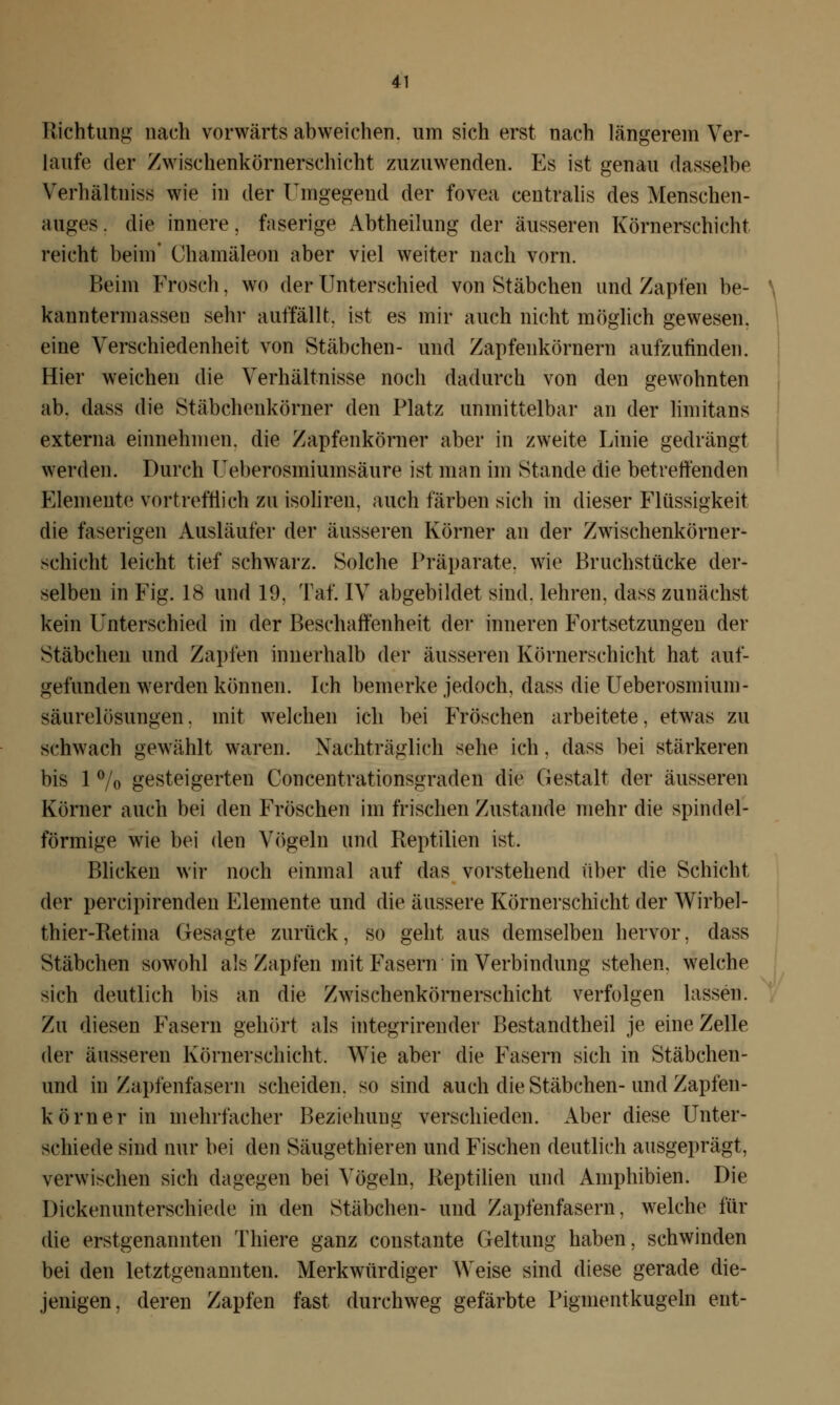 Richtung nach vorwärts abweichen, um sich erst nach Längerem Ver- laufe der Zwischenkörnerschicht zuzuwenden. Es ist genau dasselbe Verhältnis«! wie in der Umgegend der fovea centralis des Menschen- auges. die innere, faserige Abtheilung der äusseren Körnerschicht reicht beim Chamäleon aber viel weiter nach vorn. Beim Frosch, wo der Unterschied von Stäbchen und Zapfen be- kanntermassen sehr auffällt, ist es mir auch nicht möglich gewesen, eine Verschiedenheit von Stäbchen- und Zapfenkörnern aufzufinden. Hier weichen die Verhältnisse noch dadurch von den gewohnten ab. dass die Stäbcheukörner den Platz unmittelbar an der limitans externa einnehmen, die Zapfenkörner aber in zweite Linie gedrängt werden. Durch Ueberosmiuinsäure ist man im Stande die betreffenden Elemente vortrefflich zu isoliren, auch färben sich in dieser Flüssigkeit die faserigen Ausläufer der äusseren Körner an der Zwischenkörner- schicht leicht tief schwarz. Solche Präparate, wie Bruchstücke der- selben in Fig. 18 und 19, Taf. IV abgebildet sind, lehren, dass zunächst kein Unterschied in der Beschaffenheit der inneren Fortsetzungen der Stäbchen und Zapfen innerhalb der äusseren Körnerschicht hat auf- gefunden werden können. Ich bemerke jedoch, dass die Ueberosmium- säurelösungen. mit welchen ich bei Fröschen arbeitete, etwas zu schwach gewählt waren. Nachträglich sehe ich, dass bei stärkeren bis 1 % gesteigerten Concentrationsgraden die Gestalt der äusseren Körner auch bei den Fröschen im frischen Zustande mehr die spindel- förmige wie bei den Vögeln und Reptilien ist. Blicken wir noch einmal auf das vorstehend über die Schicht der percipirenden Elemente und die äussere Körnerschicht der Wirbel- thier-Retina Gesagte zurück, so geht aus demselben hervor, dass Stäbchen sowohl als Zapfen mit Fasern in Verbindung stehen, welche sich deutlich bis an die Zwischenkörnerschicht verfolgen lassen. Zu diesen Fasern gehört als integrirender Bestandtheil je eine Zelle der äusseren Körnerschicht, Wie aber die Fasern sich in Stäbchen- und in Zapfenfasern scheiden, so sind auch die Stäbchen-und Zapfen- körner in mehrfacher Beziehung verschieden. Aber diese Unter- schiede sind nur bei den Säugethieren und Fischen deutlich ausgeprägt, verwischen sich dagegen bei Vögeln, Reptilien und Amphibien. Die Dickenunterschiede in den Stäbchen- und Zapfenfasern, welche für die erstgenannten Thiere ganz constante Geltung haben, schwinden bei den letztgenannten. Merkwürdiger Weise sind diese gerade die- jenigen, deren Zapfen fast durchweg gefärbte Pigmentkugeln ent-