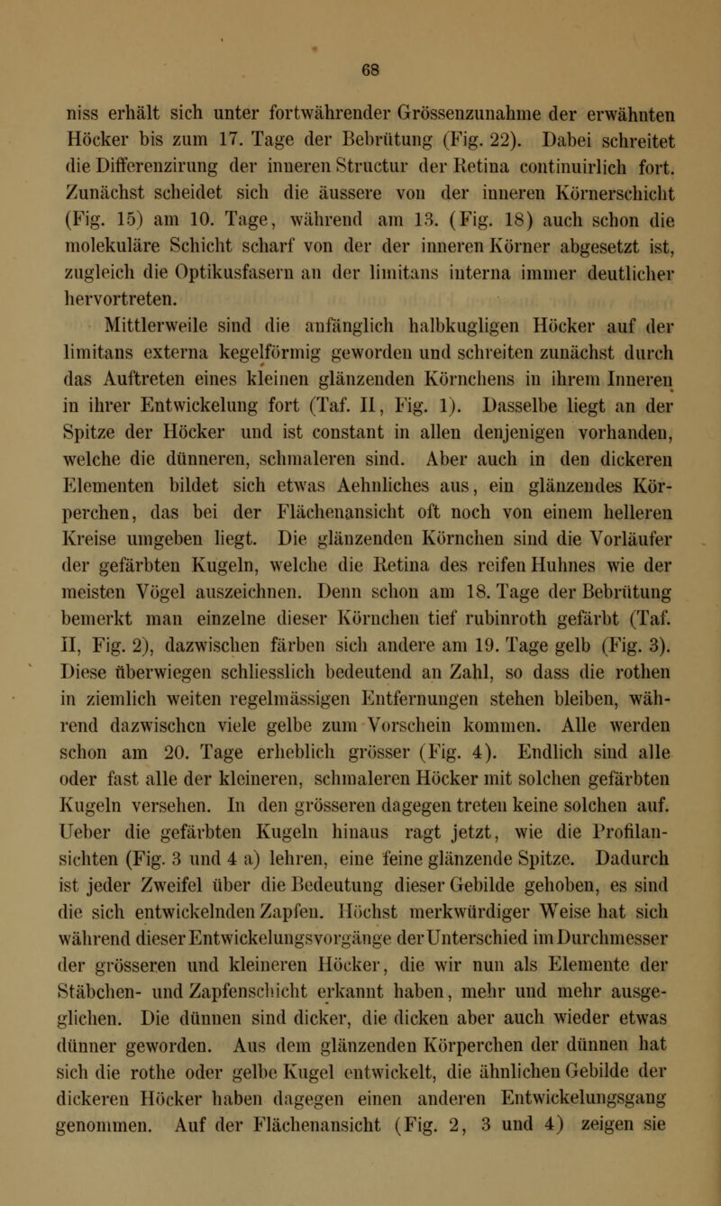 niss erhält sich unter fortwährender Grössenzunahme der erwähnten Höcker bis zum 17. Tage der Bebrütung (Fig. 22). Dabei schreitet die Differenzirung der inneren Structur der Retina continuirlich fort. Zunächst scheidet sich die äussere von der inneren Körnerschicht (Fig. 15) am 10. Tage, während am 13. (Fig. 18) auch schon die molekulare Schicht scharf von der der inneren Körner abgesetzt ist, zugleich die Optikusfasern an der limitans interna immer deutlicher hervortreten. Mittlerweile sind die anfänglich halbkugligen Höcker auf der limitans externa kegelförmig geworden und schreiten zunächst durch das Auftreten eines kleinen glänzenden Körnchens in ihrem Inneren in ihrer EntWickelung fort (Taf. II, Fig. 1). Dasselbe liegt an der Spitze der Höcker und ist constant in allen denjenigen vorhanden, welche die dünneren, schmaleren sind. Aber auch in den dickeren Elementen bildet sich etwas Aehnliches aus, ein glänzendes Kör- perchen, das bei der Flächenansicht oft noch von einem helleren Kreise umgeben liegt. Die glänzenden Körnchen sind die Vorläufer der gefärbten Kugeln, welche die Retina des reifen Huhnes wie der meisten Vögel auszeichnen. Denn schon am 18. Tage der Bebrütung bemerkt man einzelne dieser Körnchen tief rubinroth gefärbt (Taf. II, Fig. 2), dazwischen färben sich andere am 19. Tage gelb (Fig. 3). Diese überwiegen schliesslich bedeutend an Zahl, so dass die rothen in ziemlich weiten regelmässigen Entfernungen stehen bleiben, wäh- rend dazwischen viele gelbe zum Vorschein kommen. Alle werden schon am 20. Tage erheblich grösser (Fig. 4). Endlich sind alle oder fast alle der kleineren, schmaleren Höcker mit solchen gefärbten Kugeln versehen. In den grösseren dagegen treten keine solchen auf. Ueber die gefärbten Kugeln hinaus ragt jetzt, wie die Profilan- sichten (Fig. 3 und 4 a) lehren, eine feine glänzende Spitze. Dadurch ist jeder Zweifel über die Bedeutung dieser Gebilde gehoben, es sind die sich entwickelnden Zapfen. Höchst merkwürdiger Weise hat sich während dieser Entwickelungsvorgänge der Unterschied im Durchmesser der grösseren und kleineren Höcker, die wir nun als Elemente der Stäbchen- und Zapfenschicht erkannt haben, mehr und mehr ausge- glichen. Die dünnen sind dicker, die dicken aber auch wieder etwas dünner geworden. Aus dem glänzenden Körperchen der dünnen hat sich die rothe oder gelbe Kugel entwickelt, die ähnlichen Gebilde der dickeren Höcker haben dagegen einen anderen Entwicklungsgang genommen. Auf der Flächenansicht (Fig. 2, 3 und 4) zeigen sie