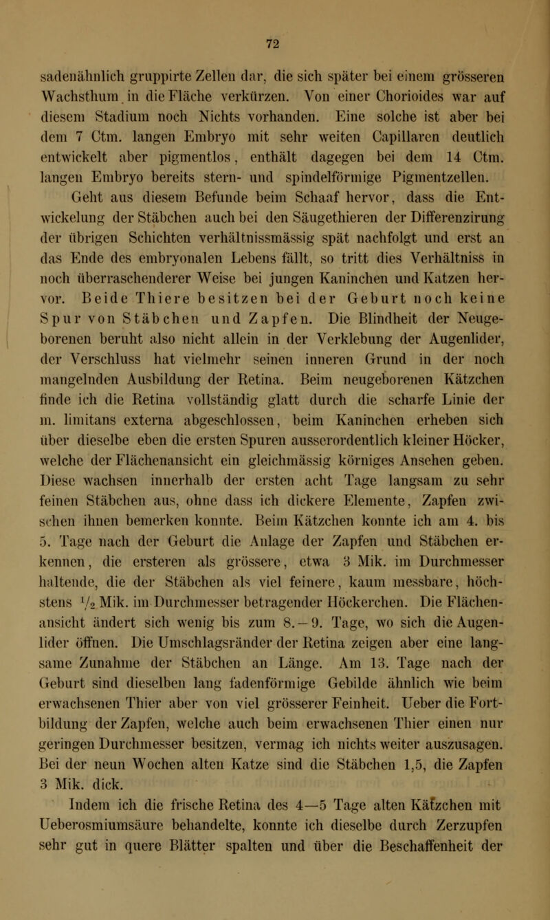 sadenähnlich gruppirte Zellen dar, die sich später bei einem grösseren Wachsthum in die Fläche verkürzen. Von einer Chorioides war auf diesem Stadium noch Nichts vorhanden. Eine solche ist aber bei dem 7 Ctm. langen Embryo mit sehr weiten Capillaren deutlich entwickelt aber pigmentlos, enthält dagegen bei dem 14 Ctm. langen Embryo bereits stern- und spindelförmige Pigmentzellen. Geht aus diesem Befunde beim Schaaf hervor, dass die Ent- wicklung der Stäbchen auch bei den Säugethieren der Differenzirung der übrigen Schichten verhältnissmässig spät nachfolgt und erst an das Ende des embryonalen Lebens fällt, so tritt dies Verhältniss in noch überraschenderer Weise bei jungen Kaninchen und Katzen her- vor. Beide Thiere besitzen bei der Geburt noch keine Spur von Stäbchen und Zapfen. Die Blindheit der Neuge- borenen beruht also nicht allein in der Verklebung der Augenlider, der Verschluss hat vielmehr seinen inneren Grund in der noch mangelnden Ausbildung der Retina. Beim neugeborenen Kätzchen finde ich die Retina vollständig glatt durch die scharfe Linie der m. limitans externa abgeschlossen, beim Kaninchen erheben sich über dieselbe eben die ersten Spuren ausserordentlich kleiner Höcker, welche der Flächenansicht ein gleichmässig körniges Ansehen geben. Diese wachsen innerhalb der ersten acht Tage langsam zu sehr feinen Stäbchen aus, ohne dass ich dickere Elemente, Zapfen zwi- schen ihnen bemerken konnte. Beim Kätzchen konnte ich am 4. bis 5. Tage nach der Geburt die Anlage der Zapfen und Stäbchen er- kennen , die ersteren als grössere, etwa 3 Mik. im Durchmesser haltende, die der Stäbchen als viel feinere, kaum messbare, höch- stens \U Mik. im Durchmesser betragender Höckerchen. Die Flächen- ansicht ändert sich wenig bis zum 8. — 9. Tage, wo sich die Augen- lider öffnen. Die Umschlagsränder der Retina zeigen aber eine lang- same Zunahme der Stäbchen an Länge. Am 13. Tage nach der Geburt sind dieselben lang fadenförmige Gebilde ähnlich wie beim erwachsenen Thier aber von viel grösserer Feinheit. Ueber die Fort- bildung der Zapfen, welche auch beim erwachsenen Thier einen nur geringen Durchmesser besitzen, vermag ich nichts weiter auszusagen. Bei der neun Wochen alten Katze sind die Stäbchen 1,5, die Zapfen 3 Mik. dick. Indem ich die frische Retina des 4—5 Tage alten KäCzchen mit Ueberosmiumsäure behandelte, konnte ich dieselbe durch Zerzupfen sehr gut in quere Blätter spalten und über die Beschaffenheit der