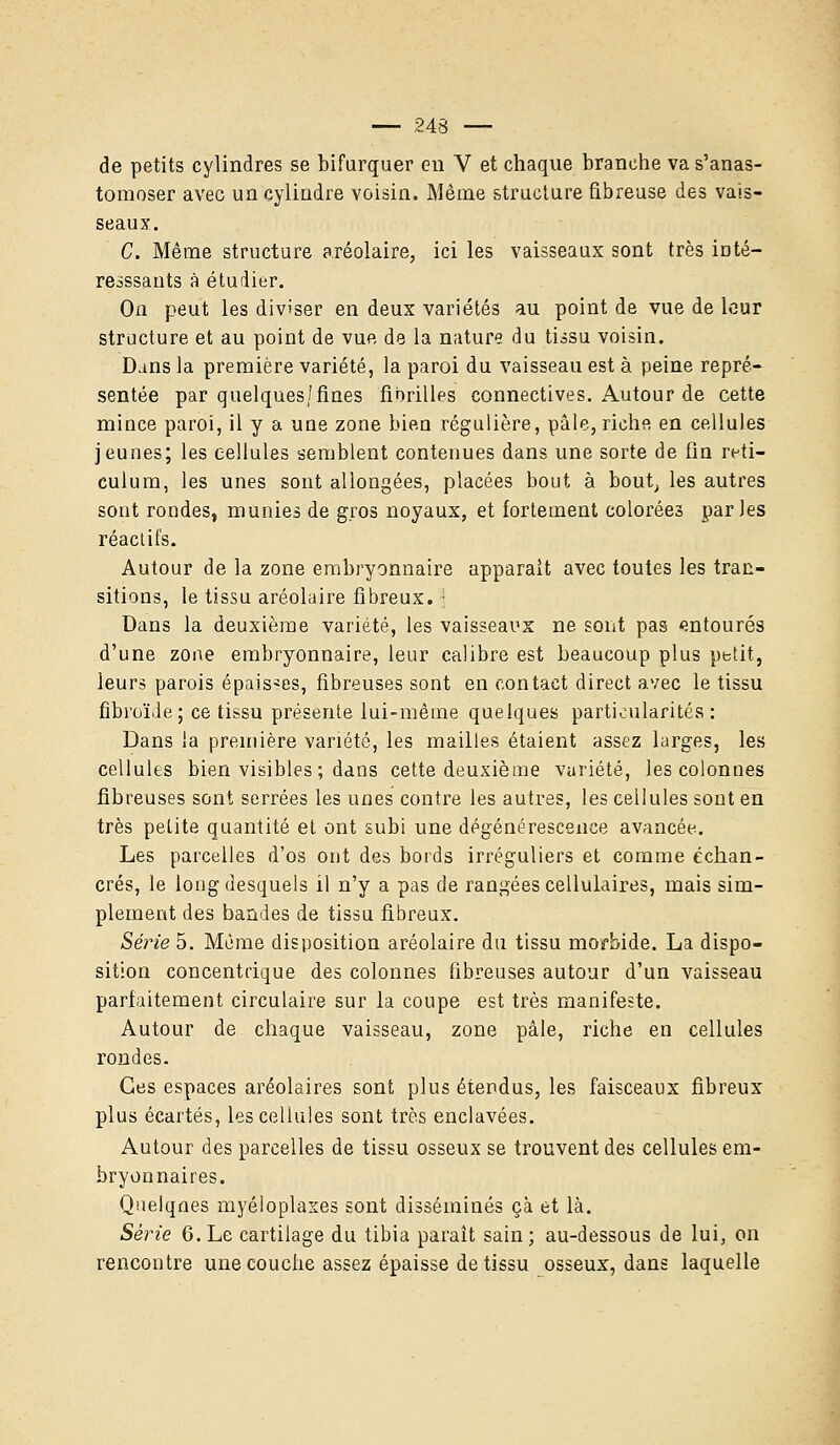 de petits cylindres se bifurquer eu V et chaque branche va s'anas- tomoser avec un cylindre voisin. Même structure fibreuse des vais- seaux. C. Même structure aréolaire, ici les vaisseaux sont très inté- ressants à étudier. On peut les diviser en deux variétés au point de vue de leur structure et au point de vue de la nature du tissu voisin. Dans la première variété, la paroi du vaisseau est à peine repré- sentée par quelques/fines fibrilles connectives. Autour de cette mince paroi, il y a une zone bien régulière, pâle, riche en cellules jeunes; les cellules semblent contenues dans une sorte de fin reti- culum, les unes sont allongées, placées bout à bout, les autres sont rondes, munies de gros noyaux, et fortement colorées parles réactifs. Autour de la zone embryonnaire apparaît avec toutes les tran- sitions, le tissu aréolaire fibreux. ] Dans la deuxième variété, les vaisseaux ne sont pas entourés d'une zone embryonnaire, leur calibre est beaucoup plus petit, leurs parois épaisses, fibreuses sont en contact direct avec le tissu fibroïde; ce tissu présente lui-même quelques particularités : Dans la première variété, les mailles étaient assez larges, les cellules bien visibles ; dans cette deuxième variété, les colonnes fibreuses sont serrées les unes contre les autres, les cellules sont en très petite quantité et ont subi une dégénérescence avancée. Les parcelles d'os ont des bords irréguliers et comme échan- crés, le long desquels il n'y a pas de rangées cellulaires, mais sim- plement des bandes de tissu fibreux. Série 5. Même disposition aréolaire du tissu morbide. La dispo- sition concentrique des colonnes fibreuses autour d'un vaisseau parfaitement circulaire sur la coupe est très manifeste. Autour de chaque vaisseau, zone pâle, riche en cellules rondes. Ces espaces aréolaires sont plus étendus, les faisceaux fibreux plus écartés, les cellules sont très enclavées. Autour des parcelles de tissu osseux se trouvent des cellules em- bryonnaires. Quelqnes myéloplaxes sont disséminés çà et là. Série 6. Le cartilage du tibia paraît sain; au-dessous de lui, on rencontre une couche assez épaisse de tissu osseux, dans laquelle