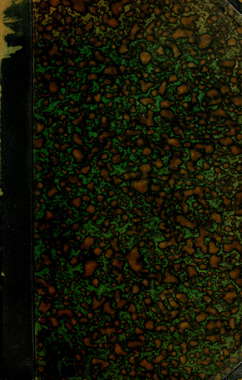 TM r''^.^^ fi*«^ ■^^h'f^^-^' ^ß.^^ ^M % 4|.#;