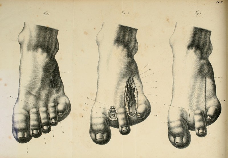 /'/ // .^/ 'Wf J .%^l