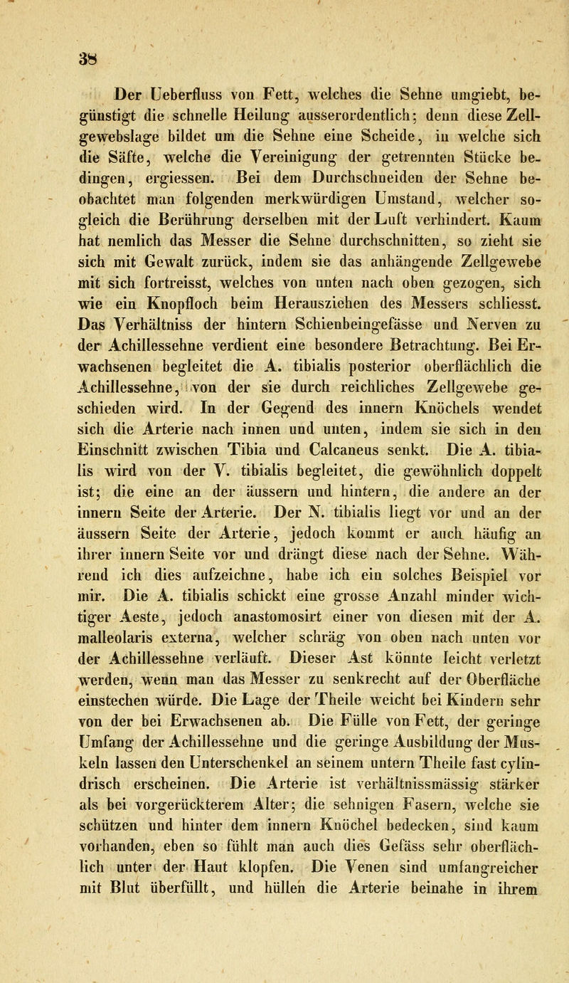 Der Ueberfluss von Fett, welches die Sehne umgiebt, be- günstigt die schnelle Heilang ausserordentlich; denn diese Zell- gewebslage bildet um die Sehne eine Scheide, in welche sich die Säfte, welche die Vereinigung der getrennten Stücke be- dingen, ergiessen. Bei dem Durchschneiden der Sehne be- obachtet man folgenden merkwürdigen Umstand, welcher so- gleich die Berührung derselben mit der Luft verhindert. Kaum hat nemlich das Messer die Sehne durchschnitten, so zieht sie sich mit Gewalt zurück, indem sie das anhängende Zellgewebe mit sich fortreisst, welches von unten nach oben gezogen, sich wie ein Knopfloch beim Herausziehen des Messers schliesst. Das Verhältniss der hintern Schienbeingefässe und Nerven zu der Achillessehne verdient eine besondere Betrachtung. Bei Er- wachsenen begleitet die A. tibialis posterior oberflächlich die Achillessehne, von der sie durch reichliches Zellgewebe ge- schieden wird. In der Gegend des Innern Knöchels wendet sich die Arterie nach innen und unten, indem sie sich in den Einschnitt zwischen Tibia und Calcaneus senkt. Die A. tibia- lis wird von der Y. tibialis begleitet, die gewöhnlich doppelt ist; die eine an der äussern und hintern, die andere an der inneru Seite der Arterie. Der N. tibialis liegt vor und an der äussern Seite der Arterie, jedoch kommt er auch häufig an ihi-er innern Seite vor und drängt diese nach der Sehne. Wäh- rend ich dies aufzeichne, habe ich ein solches Beispiel vor mir. Die A. tibialis schickt eine grosse Anzahl minder wich- tiger Aeste, jedoch anastomosirt einer von diesen mit der A. malleolaris externa, welcher schräg von oben nach unten vor der Achillessehne verläuft. Dieser Ast könnte leicht verletzt werden, wenn man das Messer zu senkrecht auf der Oberfläche einstechen würde. Die Lage der Theile weicht bei Kindern sehr von der bei Erwachsenen ab. Die Fülle von Fett, der geringe Umfang der Achillessehne und die geringe Ausbildung der Mus- keln lassen den Unterschenkel an seinem untern Theile fast cjlin- drisch erscheinen. Die Arterie ist verhältnissmässig stärker als bei vorgerückterem Alter; die sehnigen Fasern, welche sie schützen und hinter dem innern Knöchel bedecken, sind kaum vorhanden, eben so fühlt man auch dies Gefäss sehr oberfläch- lich unter der Haut klopfen. Die Venen sind umfangreicher mit Blut überfüllt, und hülleii die Arterie beinahe in ihrem