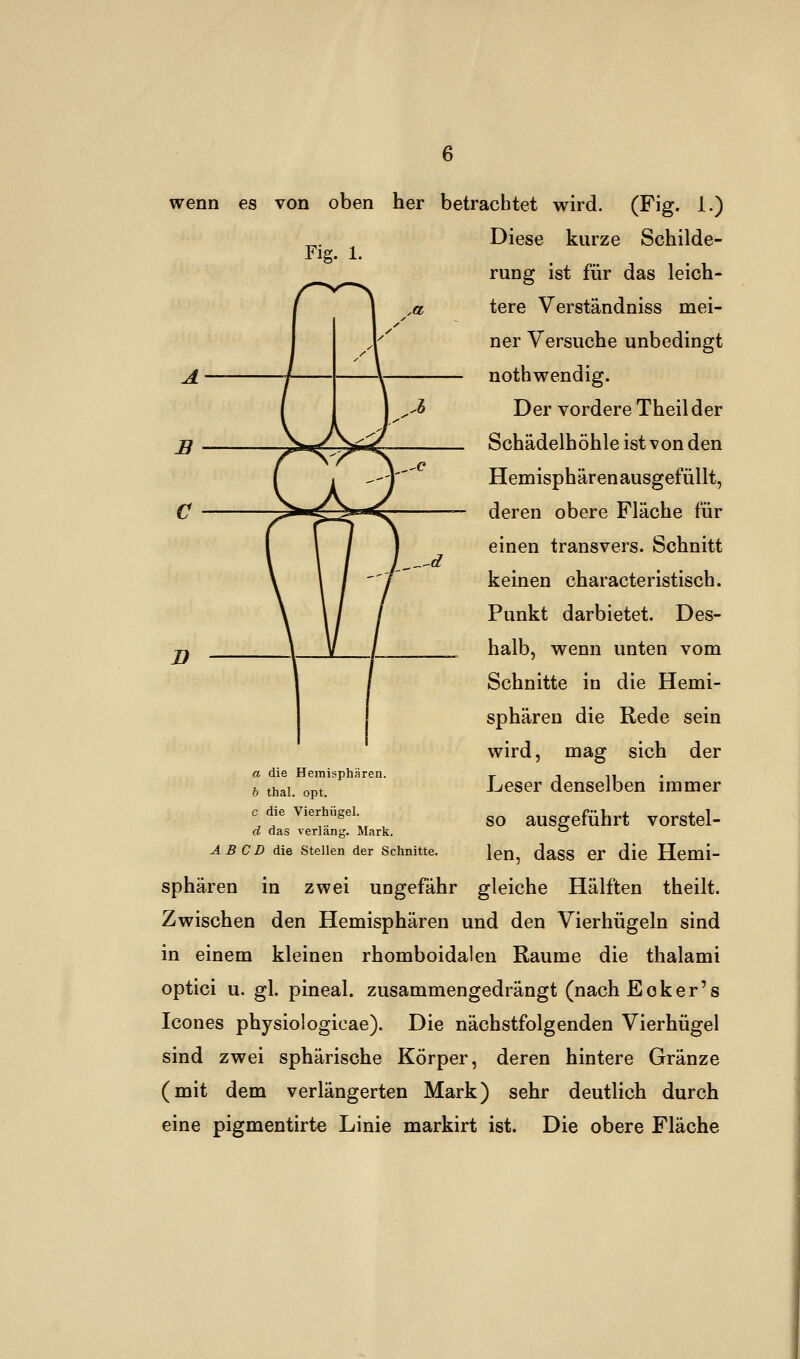 wenn es von oben her betrachtet wird. (Fig. i.) Diese kurze Schilde- rung ist für das leich- tere Verständniss mei- ner Versuche unbedingt nothwendig. Der vordere Theilder Schädelhöhle ist von den Hemisphären ausgefüllt, deren obere Fläche für einen transvers. Schnitt keinen characteristisch. Punkt darbietet. Des- halb, wenn unten vom Schnitte in die Hemi- sphären die Rede sein wird, mag sich der Leser denselben immer so ausgeführt vorstel- len, dass er die Hemi- sphären in zwei ungefähr gleiche Hälften theilt. Zwischen den Hemisphären und den Vierhügeln sind in einem kleinen rhomboidalen Räume die thalami optici u. gl. pineal. zusammengedrängt (nach Eck er's Icones physiologicae). Die nächstfolgenden Vierhügel sind zwei sphärische Körper, deren hintere Gränze (mit dem verlängerten Mark) sehr deutlich durch eine pigmentirte Linie markirt ist. Die obere Fläche a die Hemisphären. b thal. opt. c die Vierhügel. d das verläng. Mark. A B CD die Stellen der Schnitte.