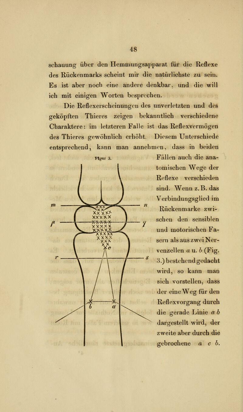 Figur 3. schauung über den Hemmungsapparat für die Reflexe des Rückenmarks scheint mir die natürlichste zu sein. Es ist aber noch eine andere denkbar, und die will ich mit einigen Worten besprechen. Die Reflexerscheinungen des unverletzten und des geköpften Thieres zeigen bekanntlich verschiedene Charaktere: im letzteren Falle ist das Reflexvermögen des Thieres gewöhnlich erhöht. Diesem Unterschiede entsprechend, kann man annehmen, dass in beiden Fällen auch die ana- tomischen Wege der Reflexe verschieden sind. Wenn z.B. das Verbindungsglied im Rückenmarke zwi- schen den sensiblen und motorischen Fa- sern als aus zwei Ner- venzellen au.b (Fig. 3.) bestehend gedacht wird, so kann man sich vorstellen, dass der eine Weg für den Reflexvorgang durch die gerade Linie a b dargestellt wird, der zweite aber durch die gebrochene ach.