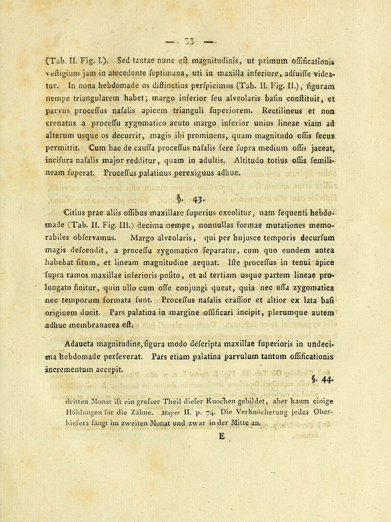 0 0 (Tab. II. Flg. I.). Sed tantae tiunc eft magnitudinis, ut primum offificationis 'v«!ftigium jam in atecedente feptimana, uti in maxilla jnferiore, adfuiffe videa- tur, In nona hebdomade os difiinctius perfpicimus (Tab. II. Fjg. II,), figuram nempe triangularem habet;, margo inferior feu alveolaris bafin conflituit, et parvus proceffiis nafalis apicem trianguli fuperiorem. Rectilineus et non crenatus a proceffu zygomatico acuto margo inferior unius lineae viam ad alterum usque os decurrit, magis ibi prominens, quam magnitudo offis fecus permittit, <3um hac de cauffa proceffus nafalis fere fupra medium offis jaceatj incifura nafalis tnajor redditur, quam in adultis, Altitudo totius offis femill» aieam fuperat, f roceffus palatinus perexiguus adliuc. §• 43- Citiusprae aliis offibussnaxillare fuperius excolitur, nam fequenti heT)do- anade (Tab. U. Fig. III.) decima siempe, nonnuUas formae mutatlones memo- rabiles obfervamus. Margo alveolaris, qui per hujusce temporis decurfum magis defcendit, a proceffu zygomatico feparatur, cum quo eundem antea habebat fitum, «t iineam magnitudine aequat. Ifle proceffus in tenui apice ■fupra ramos maxillae inferiorls pofito, et ad tertiam usque partem lineae pro- longato finitur, quin uUo cum oTfe conjungi queat, quia nec offa zygomatica dec temporum formata funt. Proceffus -nafalis craffior et altior ex lata bafi originem ducit. Pars palatinain margine offificari incipit, plerumque autem adhuc membranacea efl:. Adaucta magnitudinej-figura modo defcripta maxillae fuperioris in undecl- ana hebdomade perfeverat. Pars etiam palatina parvulum tantum offificationis ancrementum accepit. - §• 44» dikten Monat ift ein grorser Thell dierer Knoclien gelnldet, aber kaum elnig© Hohlungen fiir die Zaline. Mayer II. p. 74- Die Verknochenmg jedes Obert kiefers fangt im zweiten Monat und zwar in der Mitte an, . :, E
