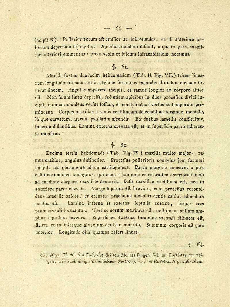 ineipit 33), Poflerior eoram eft craffior ac fubrotundus, et ab anteriore per liaean: depreffam fejungitur. Apicibus nondum difiant, atcjuein parte maxlt- Ia& anteriori eminentiam pra alveolo et fulcara infraorbitalem: notamus» §. 6i. Maxilla foetus daocecim hebdomadum (Tab. II. Flg. Vll.) trimn linea» rura longitudinem habet et in regione foraminis raentalis altitudine mediam fu» perat iineam. Angulus apparere incipit, et ramus longior ac eorpore altior cf!. Non folum linea depreffa, fed etiam apicibus in duos proceffus dividi in» eipit, cum coronoideus verfus foffam, et condyloideus verfus os temporum pro>* mineant. Corpus maxillae a ramis rectilineum defcendit ad foramen mentale, ibiq^ie curvatum, iterum paullatim afcendit. Ex duabus lamellis conflituiturj fuperne diftantibus. Lamina externa crenata effj et in fuperficie parva tuberGU- la monftrat. §. 62. Decima tertia Iiebdomade (Tab. Fig, IX.); maxitla multo major, ra- sius craflior, anguIus-diflinGtior. Proeeffus ppflerioris eondylus }am formari incipit,, fed plerumque adhue cartilagineuSi Parvo margine concavo, a prow eeffu coronoideo lejungitur, qui acutus jam eminet et ora fua anteriore fenflni ad medium corporis maxillae decurrit. Bafis maxillae reetilinea efl, nee ira anteriore parte curvata. Margo fuperior efl brevior, cum proceffus coronoi- deus latae lit bafeos,. et crenatus praeclpue alveolus dentis canini admodura incifus! eit. Lamina interna et externa feptulis coeunt y Msque tres^ primi alveoil formantur. Tertius eorum maximus efl:, poft quem nullum am>- plius feptulum; invenisv Superficies externa foramine mentali diftincta efi, firicte retro iufraque alvcelum'dentis canini fito. Summuui Gorporis eft pars anterior, Longituds Gflis guatuos refert iinjeaa. 83) Mayer it. 76, Am finde des clrit'ten iSloiiats fangen Jicli an f ortriltzc zii zei- geTT, -wie ancii eimge'^aliTiHiciienv i^wfivV? Jr. 61 ,• et HildeiraKdt-p^zgG. Idem.