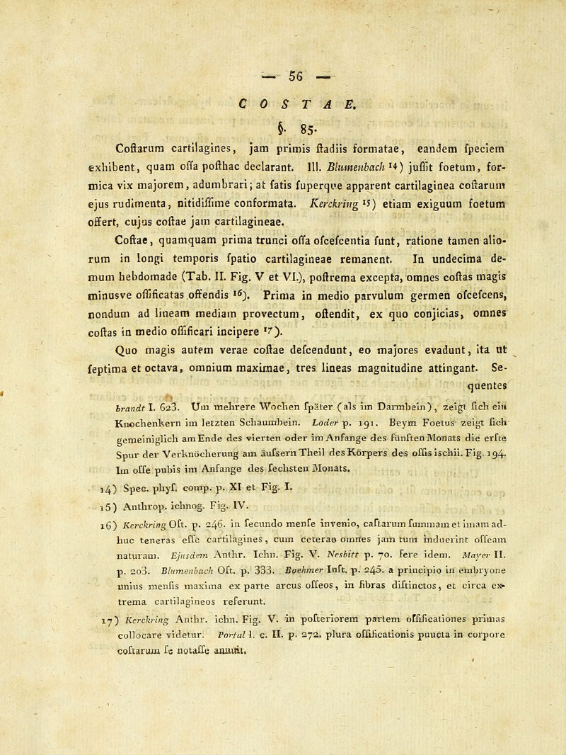 C 0 S T A E. §• 83- Coftarura cartllagines, jam primis ftadiis formatae, eandem fpeciem exhibent, quam offa pofthac declarant. 111. Blumenbach ^*) juffit foetum, for- mica vix niajorem, adumbrari; at fatis fuperque apparent cartilaginea coftarum ejus rudlmenta, nitidiffime conformata. Keyckmig^s) etiam exiguum foetum offert, cujus coftae jam cartilagineae. Coftae, quamquam prima trunci offa ofcefcentia funt, ratione tamen allo- rum in longi temporis fpatio cartilagineae remanent. In undecima de- inum hebdomade (Tab. II. Fig. V et VI.), poftrema excepta, omnes coftas magis minusve oflificatas offendis '> Prima in niedio parvulum germen ofcefcens, rondum ad Uneam mediam provectum, oftendit, ex quo conjicias, omnes coftas in medio offificari incipere '7). Quo magis autem verae coftae defcendunt, eo majores evadunt, ita ut feptima et octava, omnium maximae, tres lineas magnitudine attingant. Se- quentes hrandfl. 623. Um inelirere Woclien fpater (als im Darmbeln), zeigt fich elii Knochenkevn im letzten Schauinbein. Loder p. 191. Be)'m Foetus- zeigt fich eemeiniglich amEnde des v^ierten oder ira Anfange des fiinftenMonats die erfte Spur der Verknocherung am aufsernTheil desKorpers des ofris ischii. Fig. 194. Im offe puhis im Anfange des fechsten Monats, ]4) Spec. phyf. comp. p. XI et Fig. I. i5) Anthrop. ichnog. Fig. IV. 16) Kerckring 0£t. p. 246- in fecundo menfe invenio, cartarumfummamet imamad- huc teneras effe cartilagines, cum ceteras omrfes jam tum indiierint offcam naturam. Ejusdem yXnthr. Ichn. Fig. V. Nesbitt p. 70. fere idem. Mayer II. p. 2o3. Blumeiibach Oft. p. 333. Boehmer Inft. p. 245. a principio in embryone unius menfis maxima ex parte arcus offeos, in fibras diftinctos, et circa ex- trema cartilagineos referunt. 17) Kerckring Anthr. ichn. Fig. V. in pofteriorem partem offificationes primas collocare videtur. Tortall. c. II. p- 272. plura ofAficationis puucta in corpore coftarum fe notaffe anuUit,