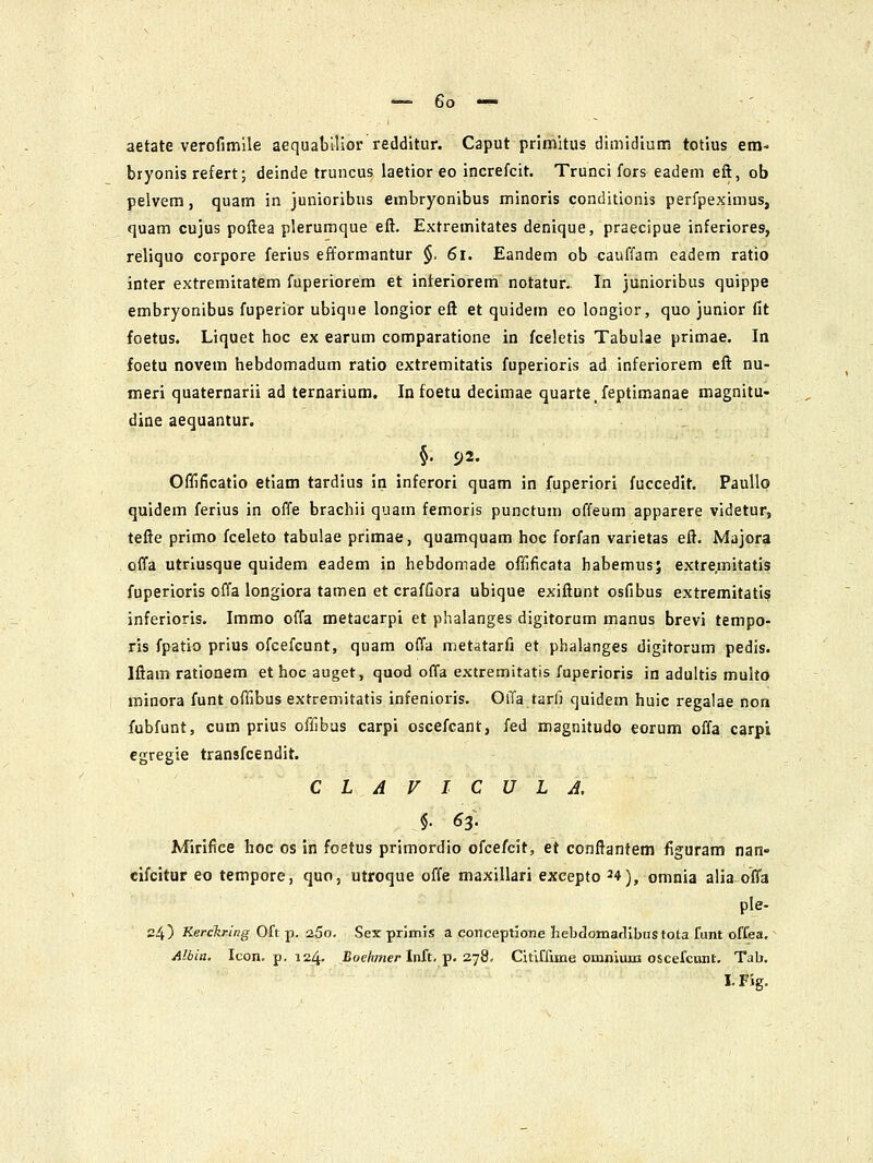 aetate verofimile aequabillor redditur. Caput primitus dimidium totius em- bryonis refert; deinde truncus laetior eo increfcit. Trunci fors eadeni eft, ob pelvem, quam in junioribus einbryonibus minoris conditionis perfpeximus, quam cujus poftea plerumque eft. Extremitates denique, praecipue inferiores, reliquo corpore ferius efformantur §. 6i. Eandem ob cauffam eadem ratio inter extremitatem fuperiorem et interiorem notatur. In junioribus quippe embryonibus fuperior ubiqne longior eft et quidem eo longior, quo junior fit foetus. Liquet hoc ex earum comparatione in fceletis Tabulae primae. In foetu novem hebdomadum ratio extremitatis fuperioris ad inferiorem eft nu- meri quaternarii ad ternarium. In foetu decimae quarte.feptimanae magnitu- dine aequantur. §. 92. Offificatio etiam tardius in inferori quam in fuperiori fuccedit. Paullp quidem ferius in offe brachii quam femoris punctum offeum apparere videtur, tefte primo fceleto tabulae primae, quamquam hoc forfan varietas eft. Majora offa utriusque quidem eadem in hebdomade offificata habemus; extremitatis fuperioris offa longiora tamen et craffiora ubique exiftunt osfibus extremitati? inferioris. Immo offa metacarpi et phalanges digitorum manus brevi tempo- ris fpatio prius ofcefcunt, quam offa metatarfi et phalanges digitorum pedis. Iftam rationem et hoc auget, quod offa extremitatis fuperioris in adultis muito minora funt offibus extremitatis infenioris. Offa tarfi quidem huic regalae non fubfunt, cum prius offibus carpi oscefcant, fed magnitudo eorum offa carpi egregie transfcendit. CLAFICULJ, $. 63. Mirifice hoc os in foetus primordio ofcefcit, et conftantem figuram nan- cifcitur eo tempore, quo, utroque offe maxillari excepto 24), omnia alia offa ple- S4) Kerckring 0£t Tp. 2.5o. Sex primis a conceptione hebdomadibustota funt offea, Albia. Icon. p. 124. Boe/wjer Inft, p. 278. Citifiime omnium oscefciuit, Tab. I.Fig.