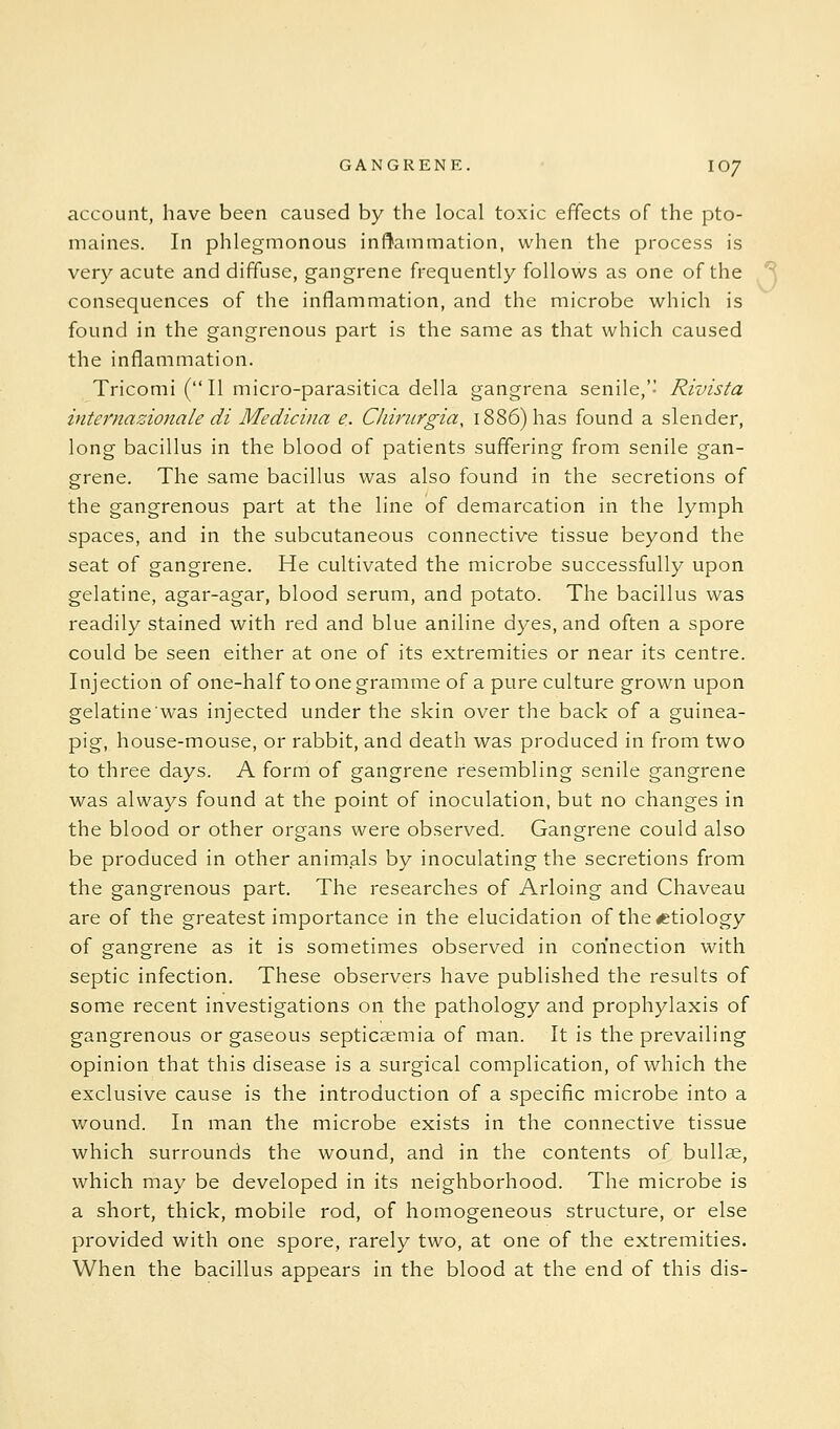 account, have been caused by the local toxic effects of the pto- maines. In phlegmonous inflammation, when the process is very acute and diffuse, gangrene frequently follows as one of the consequences of the inflammation, and the microbe which is found in the gangrenous part is the same as that which caused the inflammation. Tricomi (II micro-parasitica della gangrena senile,'' Rivista internazionale di Mediciiia e. Chirurgia, 1886) has found a slender, long bacillus in the blood of patients suffering from senile gan- grene. The same bacillus was also found in the secretions of the gangrenous part at the line of demarcation in the lymph spaces, and in the subcutaneous connective tissue beyond the seat of gangrene. He cultivated the microbe successfully upon gelatine, agar-agar, blood serum, and potato. The bacillus was readily stained with red and blue aniline dyes, and often a spore could be seen either at one of its extremities or near its centre. Injection of one-half to one gramme of a pure culture grown upon gelatinewas injected under the skin over the back of a guinea- pig, house-mouse, or rabbit, and death was produced in from two to three days. A form of gangrene resembling senile gangrene was always found at the point of inoculation, but no changes in the blood or other organs were observed. Gangrene could also be produced in other animals by inoculating the secretions from the gangrenous part. The researches of Arloing and Chaveau are of the greatest importance in the elucidation of the etiology of gangrene as it is sometimes observed in connection with septic infection. These observers have published the results of some recent investigations on the pathology and prophylaxis of gangrenous or gaseous septicaemia of man. It is the prevailing opinion that this disease is a surgical complication, of which the exclusive cause is the introduction of a specific microbe into a wound. In man the microbe exists in the connective tissue which surrounds the wound, and in the contents of bullae, which may be developed in its neighborhood. The microbe is a short, thick, mobile rod, of homogeneous structure, or else provided with one spore, rarely two, at one of the extremities. When the bacillus appears in the blood at the end of this dis-