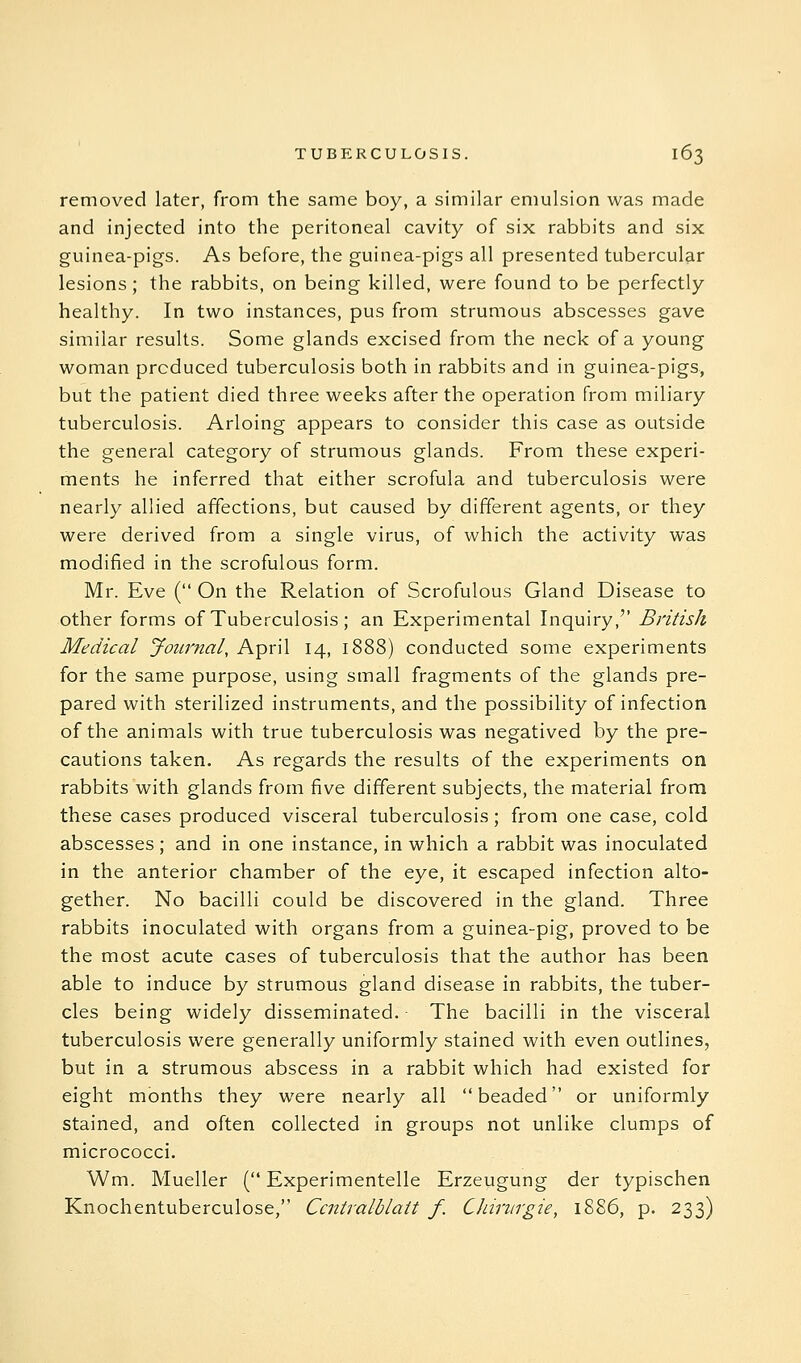 removed later, from the same boy, a similar emulsion was made and injected into the peritoneal cavity of six rabbits and six guinea-pigs. As before, the guinea-pigs all presented tubercular lesions; the rabbits, on being killed, were found to be perfectly healthy. In two instances, pus from strumous abscesses gave similar results. Some glands excised from the neck of a young woman produced tuberculosis both in rabbits and in guinea-pigs, but the patient died three weeks after the operation from miliary tuberculosis. Arloing appears to consider this case as outside the general category of strumous glands. From these experi- ments he inferred that either scrofula and tuberculosis were nearly allied affections, but caused by different agents, or they were derived from a single virus, of which the activity was modified in the scrofulous form. Mr. Eve ( On the Relation of Scrofulous Gland Disease to other forms of Tuberculosis; an Experimental Inquiry, British Medical Journal, April 14, 1888) conducted some experiments for the same purpose, using small fragments of the glands pre- pared with sterilized instruments, and the possibility of infection of the animals with true tuberculosis was negatived by the pre- cautions taken. As regards the results of the experiments on rabbits with glands from five different subjects, the material from these cases produced visceral tuberculosis; from one case, cold abscesses; and in one instance, in which a rabbit was inoculated in the anterior chamber of the eye, it escaped infection alto- gether. No bacilli could be discovered in the gland. Three rabbits inoculated with organs from a guinea-pig, proved to be the most acute cases of tuberculosis that the author has been able to induce by strumous gland disease in rabbits, the tuber- cles being widely disseminated. The bacilli in the visceral tuberculosis were generally uniformly stained with even outlines, but in a strumous abscess in a rabbit which had existed for eight months they were nearly all beaded or uniformly stained, and often collected in groups not unlike clumps of micrococci. Wm. Mueller ( Experimentelle Erzeugung der typischen Knochentuberculose, Ccntralblait f. Chiriirgie, 1886, p. 233)