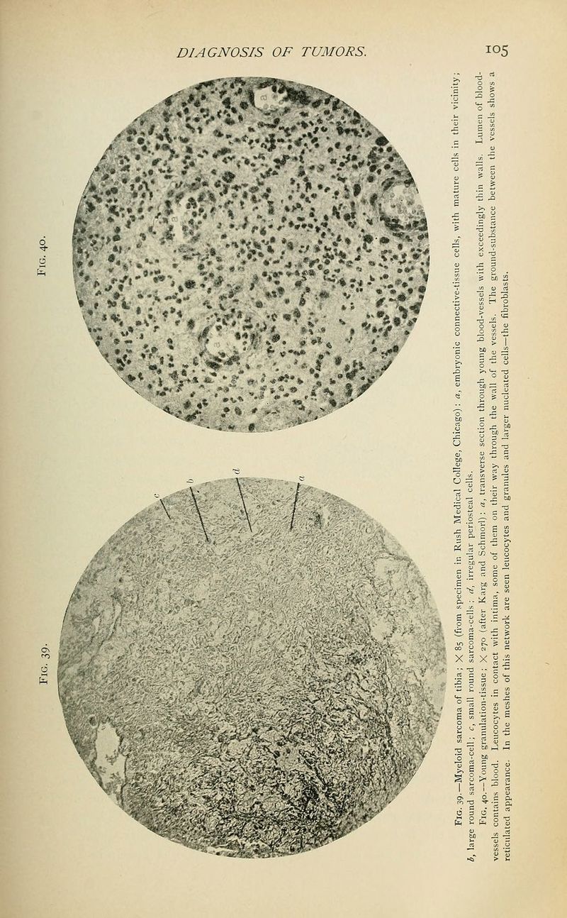 £2 c 2 ■5 -a § .2 - c/2 B 3 bo T3 C 1 '* Ml 0 « rt p. W 6 0 k a! ~~^ s 0 o 2 u £ ■5 Z XJX ■2 -S u S 5 -a u >» 5 6 o 2 S 3 £.2 § 2£ 8 8 & js!