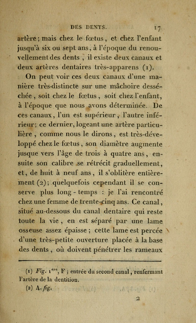 artère ; mais chez le fœtus, e*. chez l'enfant jusqu'à six ou sept ans, à l'époque du renou- vellement des dents , il existe deux canaux et deux artères dentaires très-apparens (1). On peut voir ces deux canaux d'une ma- nière très-distincte sur une mâchoire dessé- chée , soit chez le fœtus , soit chez F enfant, à l'époque que nous avons déterminée. De ces canaux, l'un est supérieur, l'autre infé- rieur; ce dernier, logeant une artère particu- lière , comme nous le dirons, est très-déve- loppé chez le fœtus, son diamètre augmente jusque vers l'âge de trois à quatre ans, en- suite son calibre se rétrécit graduellement, et, de huit à neuf ans, il s'oblitère entière- ment (2) ; quelquefois cependant il se con- serve plus long - temps : je l'ai rencontré chez une femme de trente-cinq ans. Ce canal, situé au-dessous du canal dentaire qui reste toute la vie , en est séparé par une lame osseuse assez épaisse ; cette lame est percée > d'une très-petite ouverture placée à la base des dents , où doivent pénétrer les rameaux (1) Fig. iere7 F ; entrée du second canal, renfermant l'artère de la dentition. 00 A-fis-