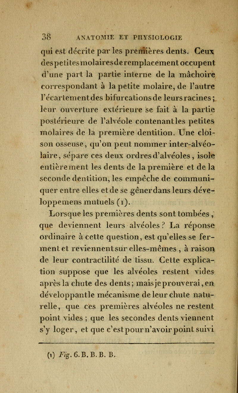 qui est décrite par les premières dents. Ceux despeti tes molaires de remplacement occupent d'une part la partie interne de la mâchoire correspondant à la petite molaire, de l'autre l'écartementdes bifurcations de leurs racines; leur ouverture extérieure se fait à la partie postérieure de l'alvéole contenant les petites molaires de la première dentition. Une cloi- son osseuse, qu'on peut nommer inter-alvéo- laire, sépare ces deux ordres d'alvéoles , isole entièrement les dents de la première et de la seconde dentition, les empêche de communi- quer entre elles et de se gêner dans leurs déve- loppemens mutuels (i). Lorsque les premières dents sont tombées , que deviennent leurs alvéoles ? La réponse ordinaire à cette question, est qu'elles se fer- ment et reviennent sur elles-mêmes , à raison de leur contractilité de tissu. Cette explica- tion suppose que les alvéoles restent vides après la chute des dents; mais je prouverai, en développantle mécanisme de leur chute natu- relle , que ces premières alvéoles ne restent point vides ; que les secondes dents viennent s'y loger, et que c'est pour n'avoir point suivi (i) F%.6.B.B.B. B.