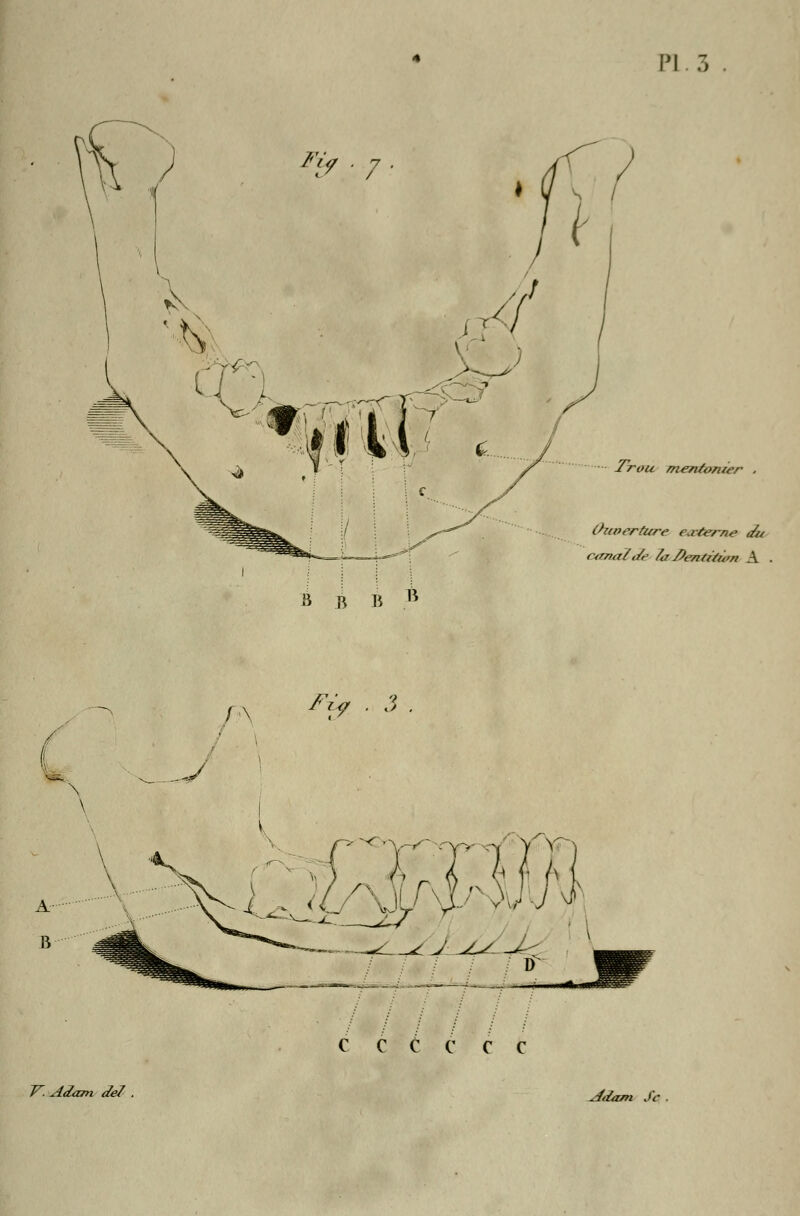 PI 3 Trou mentonier . Ouverture, eaéertte du aide, /a />entùù>n A . B B /' r </ . 3 , c c c c c c
