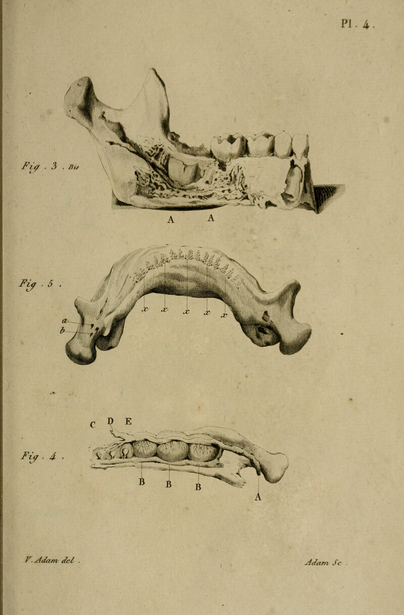 PI 4. Fia ■ 3 . bù Fi? . 5 . C \ E Fi9 . 4 ■ 'î -V il ■ m A i