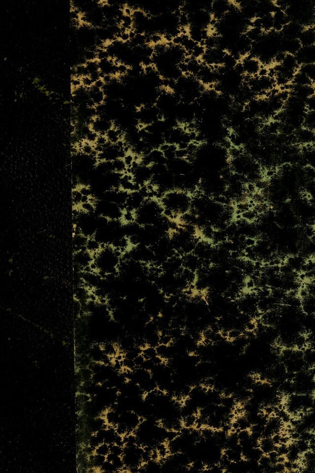 digitised image 1