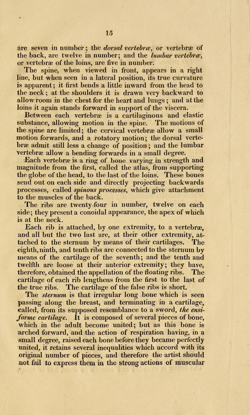 are seven in number; the dorsal vertehrce, or vertebrae of the back, are twelve in number; and the lumbar vertehrw^ or vertebrae of the loins, are five in number. The spine, when viewed in front, appears in a right line, but when seen in a lateral position, its true curvature is apparent; it first bends a little inward fi:-om the head to the neck; at the shoulders it is drawn very backward to allow room in the chest for the heart and lungs; and at the loins it again stands forward in support of the viscera. Between each vertebrae is a cartilaginous and elastic substance, allowing motion in the spine. The motions of the spine are limited; the cervical vertebrae allow a small motion forwards, and a rotatory motion; the dorsal verte- brae admit still less a change of position; and the lumbar vertebrae allow a bending forwards in a small degree. Each vertebrae is a ring of bone varying in strength and magnitude from the first, called the atlas, from supporting the globe of the head, to the last of the loins. These bones send out on each side and directly projecting backwards processes, called spinous processes^ which give attachment to the muscles of the back. The ribs are twenty four in number, twelve on each side; they present a conoidal appearance, the apex of which is at the neck. Each rib is attached, by one extremity, to a vertebrae, and all but the two last are, at their other extremity, at- tached to the sternum by means of their cartilages. The eighth, ninth, and tenth ribs are connected to the sternum by means of the cartilage of the seventh; and the tenth and twelfth are loose at their anterior extremity; they have, therefore, obtained the appellation of the floating ribs. The cartilage of each rib lengthens from the first to the last of the true ribs. The cartilage of the false ribs is short. The sternum is that irregular long bone which is seen passing along the breast, and terminating in a cartilage, called, from its supposed resemblance to a sword, the ensi- forme cartilage. It is composed of several pieces of bone, which in the adult become united; but as this bone is arched forward, and the action of respiration having, in a small degree, raised each bone before they became perfectly united, it retains several inequalities which accord with its original number of pieces, and therefore the artist should not fail to express them in the strong actions of muscular