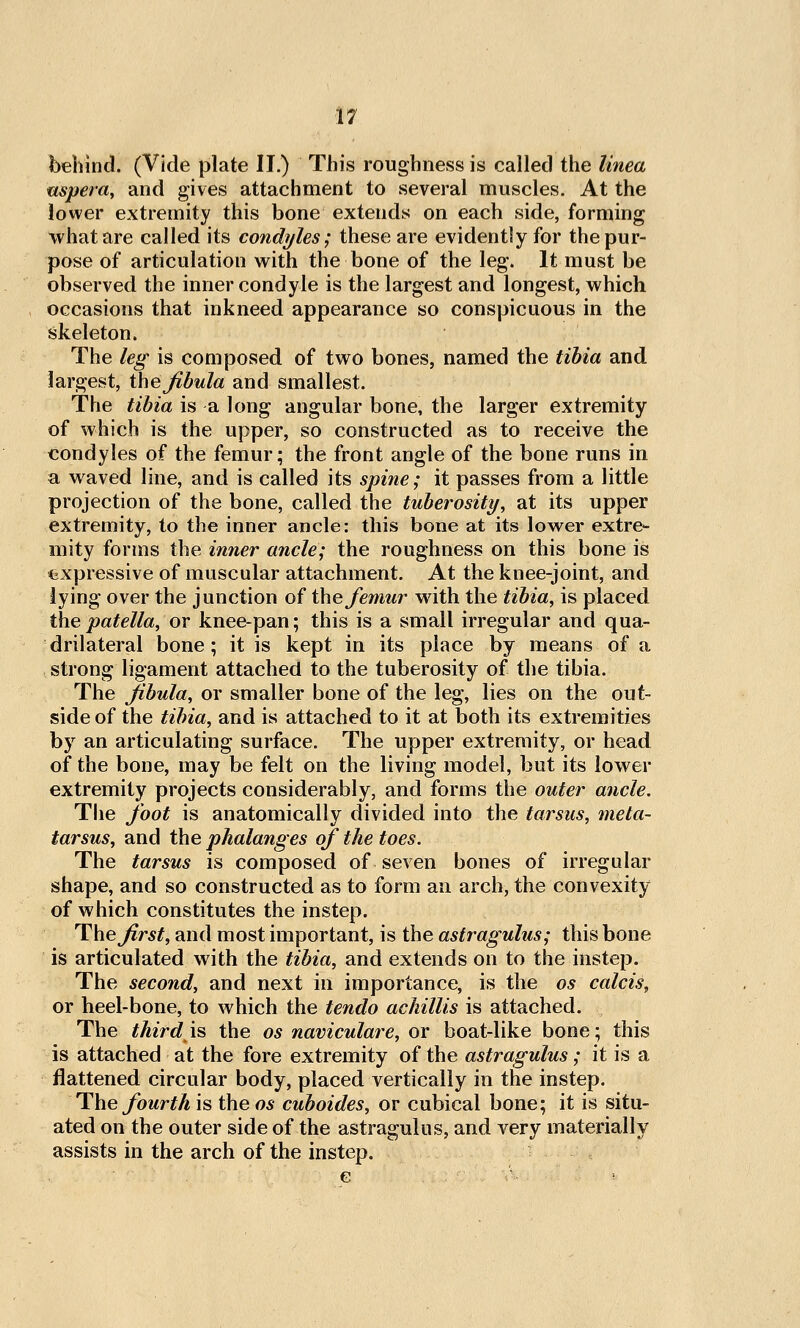 ■17 behind. (Vide plate II.) This roughness is called the linea uspera, and gives attachment to several muscles. At the lower extremity this bone extends on each side, forming what are called its condyles; these are evidently for the pur- pose of articulation with the bone of the leg. It must be observed the inner condyle is the largest and longest, which occasions that inkneed appearance so conspicuous in the skeleton. The leg is composed of two bones, named the tihia and largest, the fibula and smallest. The tibia is a long angular bone, the larger extremity of which is the upper, so constructed as to receive the condyles of the femur; the front angle of the bone runs in a waved line, and is called its spine; it passes from a little projection of the bone, called the tuberosity, at its upper extremity, to the inner ancle: this bone at its lower extre- mity forms the inner ancle; the roughness on this bone is fcxpressive of muscular attachment. At the knee-joint, and iying over the junction of i\\e femur with the tibia, is placed the patella, or knee-pan; this is a small irregular and qua- drilateral bone; it is kept in its place by means of a strong ligament attached to the tuberosity of the tibia. The fibula, or smaller bone of the leg, lies on the out- side of the tibia, and is attached to it at both its extremities by an articulating surface. The upper extremity, or head of the bone, may be felt on the living model, but its lower extremity projects considerably, and forms the outer ancle. The foot is anatomically divided into the tarsus, meta- tarsus, and the phalanges of the toes. The tarsus is composed of seven bones of irregular shape, and so constructed as to form an arch, the convexity of which constitutes the instep. l^\ie first, and most important, is the astragulus; this bone is articulated with the tibia, and extends on to the instep. The second, and next in importance, is the os calcis^ or heel-bone, to which the tendo achillis is attached. The third is the os naviculare, or boat-like bone; this is attached at the fore extremity of the astragulus; it is a flattened circular body, placed vertically in the instep. The fourth is the os cuboides, or cubical bone; it is situ- ated on the outer side of the astragulus, and very materially assists in the arch of the instep.