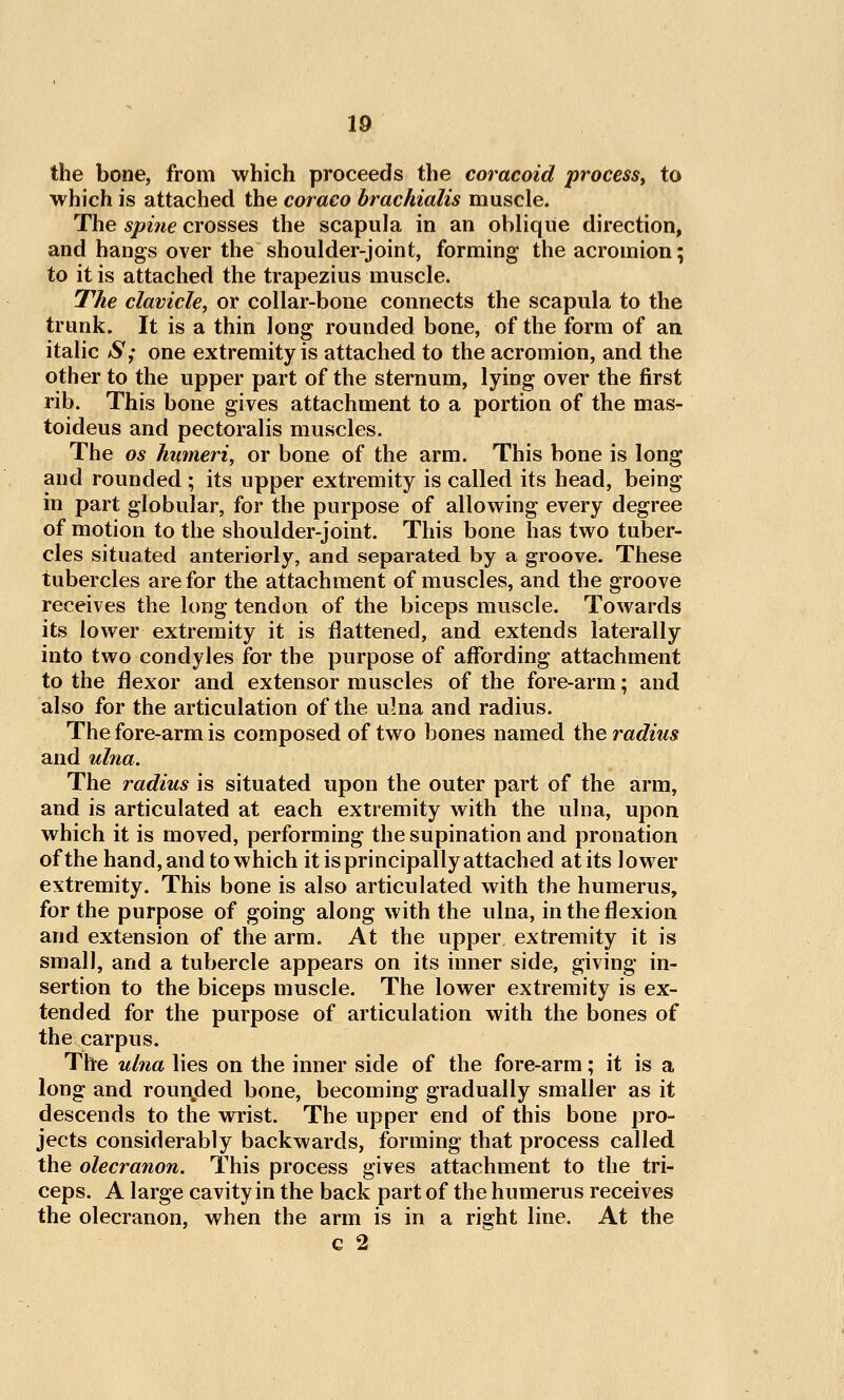 the bone, from which proceeds the coracoid process^ to which is attached the coraco brachialis muscle. The spine crosses the scapula in an oblique direction, and hangs over the shoulder-joint, forming the acromion; to it is attached the trapezius muscle. The clavicle, or collar-bone connects the scapula to the trunk. It is a thin long rounded bone, of the form of an italic S; one extremity is attached to the acromion, and the other to the upper part of the sternum, lying over the first rib. This bone gives attachment to a portion of the mas- toideus and pectoralis muscles. The OS humeri, or bone of the arm. This bone is long and rounded ; its upper extremity is called its head, being in part globular, for the purpose of allowing every degree of motion to the shoulder-joint. This bone has two tuber- cles situated anteriorly, and separated by a groove. These tubercles are for the attachment of muscles, and the groove receives the long tendon of the biceps muscle. Towards its lower extremity it is flattened, and extends laterally into two condyles for the purpose of affording attachment to the flexor and extensor muscles of the fore-arm; and also for the articulation of the ulna and radius. The fore-arm is composed of two bones named the radius and ulna. The radius is situated upon the outer part of the arm, and is articulated at each extremity with the ulna, upon which it is moved, performing the supination and pronation of the hand, and to which it is principally attached at its lower extremity. This bone is also articulated with the humerus, for the purpose of going along with the ulna, in the flexion and extension of the arm. At the upper extremity it is small, and a tubercle appears on its inner side, giving in- sertion to the biceps muscle. The lower extremity is ex- tended for the purpose of articulation with the bones of the carpus. The ulna lies on the inner side of the fore-arm; it is a long and rounded bone, becoming gradually smaller as it descends to the wrist. The upper end of this bone pro- jects considerably backwards, forming that process called the olecranon. This process gives attachment to the tri- ceps. A large cavity in the back part of the humerus receives the olecranon, when the arm is in a right line. At the c 2