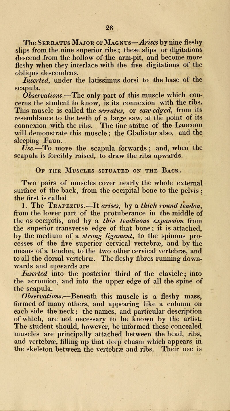 The Serratus Major or Magnus—^me* by nine fleshy slips from the nine superior ribs; these slips or digitations descend from the hollow of-the arm-pit, and become more fleshy when they interlace with the five digitations of the obliqus descendens. Inserted, under the latissimus dorsi to the base of the scapula. Observations.—The only part of this muscle which con- cerns the student to know, is its connexion with the ribs. This muscle is called the serratus, or saw-edged, from its resemblance to the teeth of a large saw, at the point of its connexion with the ribs. The fine statue of the Laocoon will demonstrate this muscle : the Gladiator also, and the sleeping Faun. Use.—To move the scapula forwards; and, when the scapula is forcibly raised, to draw the ribs upwards. Of the Muscles situated on the Back. Two pairs of muscles cover nearly the whole external surface of the back, from the occipital bone to the pelvis ; the first is called ]. The Trapezius.—It arises, by a thick round tendon, from the lower part of the protuberance in the middle of the OS occipitis, and by a thin tendinous expansion from the superior transverse edge of that bone; it is attached, by the medium of a strong ligament, to the spinous pro- cesses of the five superior cervical vertebrae, and by the means of a tendon, to the two other cervical vertebrae, and to all the dorsal vertebrae. The fleshy fibres running down- wards and upwards are Inserted into the posterior third of the clavicle; into the acromion, and into the upper edge of all the spine of the scapula. Observations.—Beneath this muscle is a fleshy mass, formed of many others, and appearing like a column on each side the neck; the names, and particular description of which, are not necessary to be known by the artist. The student should, however, be informed these concealed muscles are principally attached between the head, ribs, and vertebrae, filling up that deep chasm which appears in the skeleton between the vertebrae and ribs. Their use is