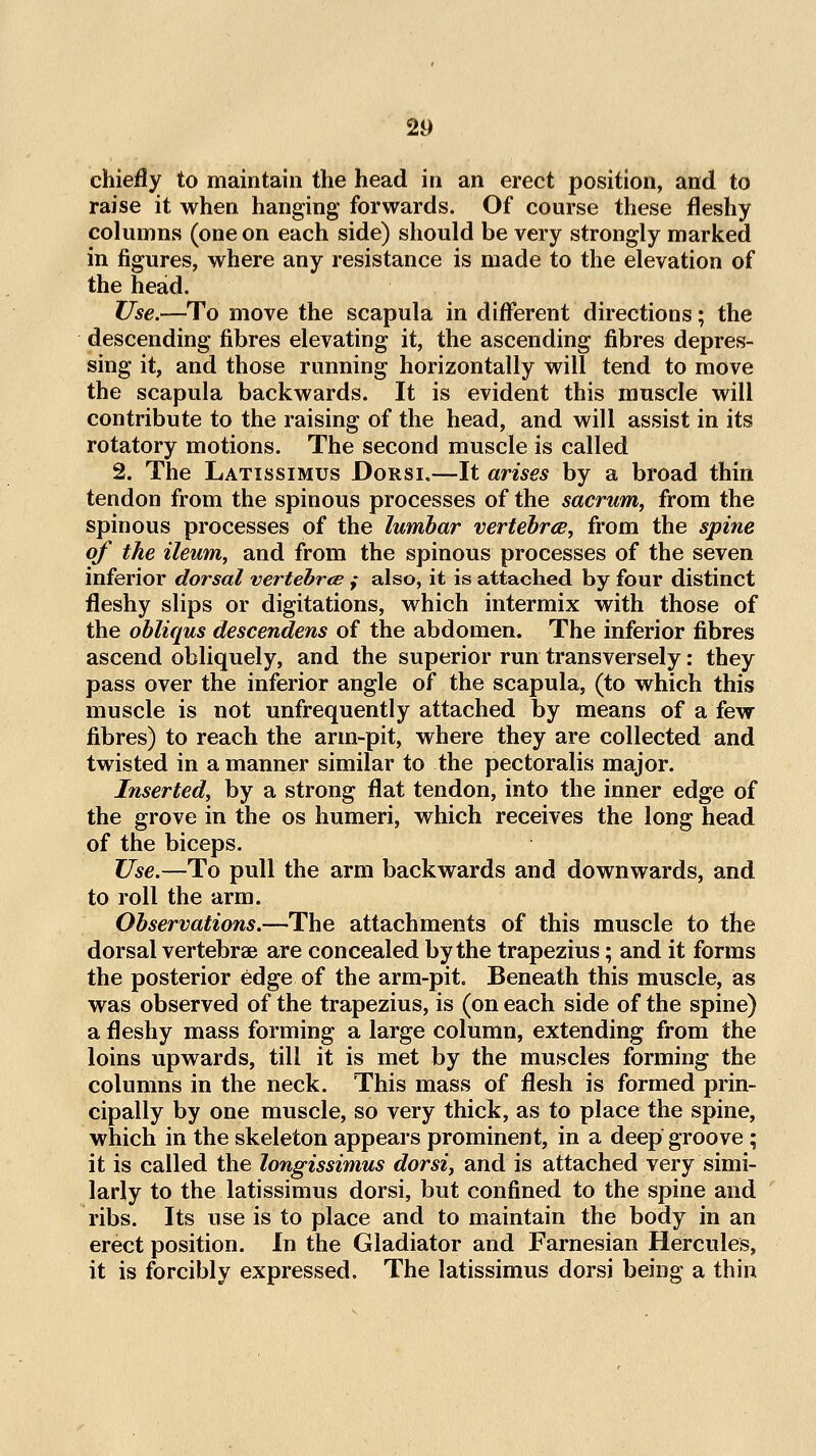 chiefly to maintain the head in an erect position, and to raise it when hanging* forwards. Of course these fleshy columns (one on each side) should be very strongly marked in figures, where any resistance is made to the elevation of the head. Use.—To move the scapula, in different directions; the descending fibres elevating it, the ascending fibres depres- sing it, and those running horizontally will tend to move the scapula backwards. It is evident this muscle will contribute to the raising of the head, and will assist in its rotatory motions. The second muscle is called 2. The Latissimus Dorsi.—It arises by a broad thin tendon from the spinous processes of the sacrum, from the spinous processes of the lumbar vertehrcB, from the spine of the ileum, and from the spinous processes of the seven inferior dorsal vertehrce ; also, it is attached by four distinct fleshy slips or digitations, which intermix with those of the obliqus descendens of the abdomen. The inferior fibres ascend obliquely, and the superior run transversely: they pass over the inferior angle of the scapula, (to which this muscle is not unfrequently attached by means of a few fibres) to reach the arm-pit, where they are collected and twisted in a manner similar to the pectoralis major. Inserted, by a strong flat tendon, into the inner edge of the grove in the os humeri, which receives the long head of the biceps. Use.—To pull the arm backwards and downwards, and to roll the arm. Observations.—The attachments of this muscle to the dorsal vertebrae are concealed by the trapezius; and it forms the posterior edge of the arm-pit. Beneath this muscle, as was observed of the trapezius, is (on each side of the spine) a fleshy mass forming a large column, extending from the loins upwards, till it is met by the muscles forming the columns in the neck. This mass of flesh is formed prin- cipally by one muscle, so very thick, as to place the spine, which in the skeleton appears prominent, in a deep groove; it is called the longissimus dorsi, and is attached very simi- larly to the latissimus dorsi, but confined to the spine and ribs. Its use is to place and to maintain the body in an erect position. In the Gladiator and Farnesian Hercules, it is forcibly expressed. The latissimus dorsi being a thin