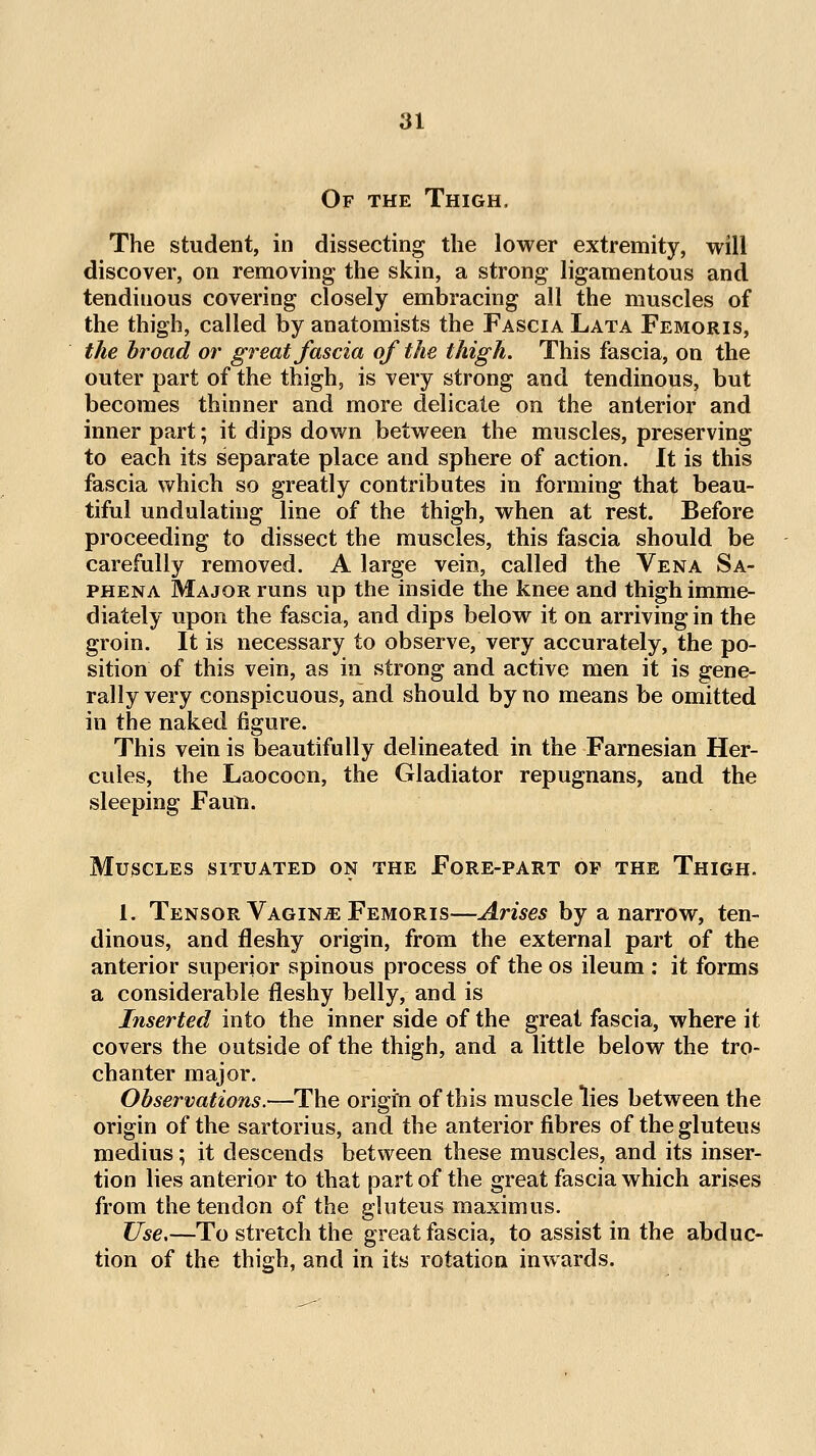 Of the Thigh. The student, in dissecting the lower extremity, will discover, on removing the skin, a strong ligamentous and tendinous covering closely embracing all the muscles of the thigh, called by anatomists the Fascia Lata Femoris, the hroad or great fascia of the thigh. This fascia, on the outer part of the thigh, is very strong and tendinous, but becomes thinner and more delicate on the anterior and inner part; it dips down between the muscles, preserving to each its separate place and sphere of action. It is this fascia which so greatly contributes in forming that beau- tiful undulating line of the thigh, when at rest. Before proceeding to dissect the muscles, this fascia should be carefully removed. A large vein, called the Vena Sa- phena Major runs up the inside the knee and thigh imme- diately upon the fascia, and dips below it on arriving in the groin. It is necessary to observe, very accurately, the po- sition of this vein, as in strong and active men it is gene- rally very conspicuous, and should by no means be omitted in the naked figure. This vein is beautifully delineated in the Farnesian Her- cules, the Laocoon, the Gladiator repugnans, and the sleeping Faun. Muscles situated on the Fore-part op the Thigh. 1. Tensor Vaginae Femoris—Arises by a narrow, ten- dinous, and fleshy origin, from the external part of the anterior superior spinous process of the os ileum : it forms a considerable fleshy belly, and is Inserted into the inner side of the great fascia, where it covers the outside of the thigh, and a little below the tro- chanter major. Observations.—The origin of this muscle lies between the origin of the sartorius, and the anterior fibres of the gluteus medius; it descends between these muscles, and its inser- tion lies anterior to that part of the great fascia which arises from the tendon of the gluteus maximus. Use,—To stretch the great fascia, to assist in the abduc- tion of the thigh, and in its rotation inwards.