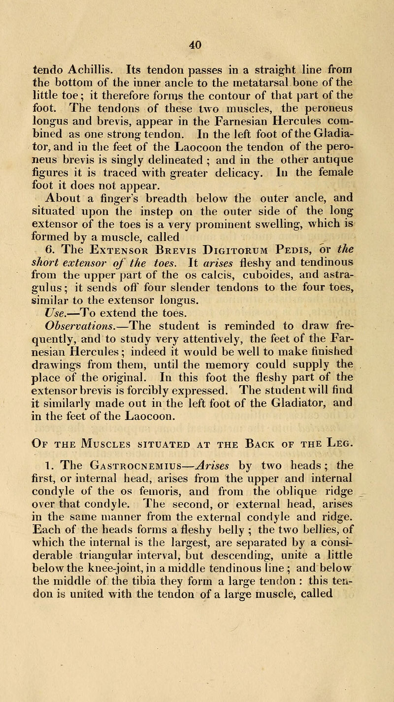 tendo Achillis. Its tendon passes in a straight line from the bottom of the inner ancle to the metatarsal bone of the little toe; it therefore forms the contour of that part of the foot. The tendons of these two muscles, the peroneus longus and brevis, appear in the Farnesian Hercules com- bined as one strong tendon. In the left foot of the Gladia- tor, and in the feet of the Laocoon the tendon of the pero- neus brevis is singly delineated ; and in the other antique figures it is traced with greater delicacy. In the female foot it does not appear. About a finger's breadth below the outer ancle, and situated upon the instep on the outer side of the long extensor of the toes is a very prominent swelling, which is formed by a muscle, called 6. The Extensor Brevis Digitorum Pedis, or the short extensor of the toes. It arises fleshy and tendinous from the upper part of the os calcis, cuboides, and astra- gulus; it sends oft^ four slender tendons to the four toes, similar to the extensor longus. Use.—To extend the toes. Observations.—The student is reminded to draw fre- quently, and to study very attentively, the feet of the Far- nesian Hercules; indeed it would be well to make finished drawings from them, until the memory could supply the place of the original. In this foot the fleshy part of the extensor brevis is forcibly expressed. The student will find it similarly made out in the left foot of the Gladiator, and in the feet of the Laocoon. Of the Muscles situated at the Back of the Leg. 1. The Gastrocnemius—Arises by two heads; the first, or internal head, arises from the upper and internal condyle of the os femoris, and from the oblique ridge over that condyle. The second, or external head, arises in the same manner from the external condyle and ridge. Each of the heads forms a fleshy belly ; the two bellies, of which the internal is the largest, are separated by a consi- derable triangular interval, but descending, unite a little below the knee-joint, in a middle tendinous line ; and below the middle of the tibia they form a large tendon : this ten- don is united with the tendon of a large muscle, called