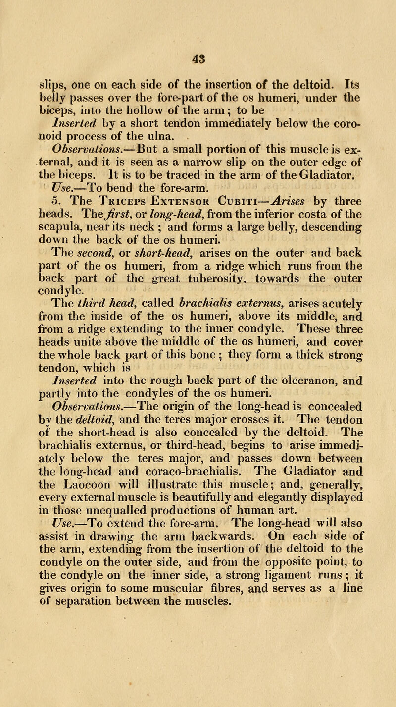 45 slips, one on each side of the insertion of the deltoid. Its belly passes over the fore-part of the os humeri, under the biceps, into the hollow of the arm; to be Inserted by a short tendon immediately below the coro- uoid process of the ulna. Observations.—But a small portion of this muscle is ex- ternal, and it is seen as a narrow slip on the outer edge of the biceps. It is to be traced in the arm of the Gladiator. Use.—To bend the fore-arm. 5. The Triceps Extensor Cubiti—Arises by three heads. The^r^if, or long-head, from the inferior costa of the scapula, near its neck ; and forms a large belly, descending down the back of the os humeri. The second, or short-head, arises on the outer and back part of the os humeri, from a ridge which runs from the back part of the great tuberosity, towards the outer condyle. The third head, called hrachialis externus, arises acutely from the inside of the os humeri, above its middle, and from a ridge extending to the inner condyle. These three heads unite above the middle of the os humeri, and cover the whole back part of this bone ; they form a thick strong tendon, which is Inserted into the rough back part of the olecranon, and partly into the condyles of the os humeri. Observations.—The origin of the long-head is concealed by the deltoid, and the teres major crosses it. The tendon of the short-head is also concealed by the deltoid. The brachialis externus, or third-head, begins to arise immedi- ately below the teres major, and passes down between the long-head and coraco-brachialis. The Gladiator and the Laocoon will illustrate this muscle; and, generally, every external muscle is beautifully and elegantly displayed in those unequalled productions of human art. Use.—To extend the fore-arm. The long-head will also assist in drawing the arm backwards. On each side of the arm, extending from the insertion of the deltoid to the condyle on the outer side, and from the opposite point, to the condyle on the inner side, a strong ligament runs ; it gives origin to some muscular fibres, and serves as a line of separation between the muscles.