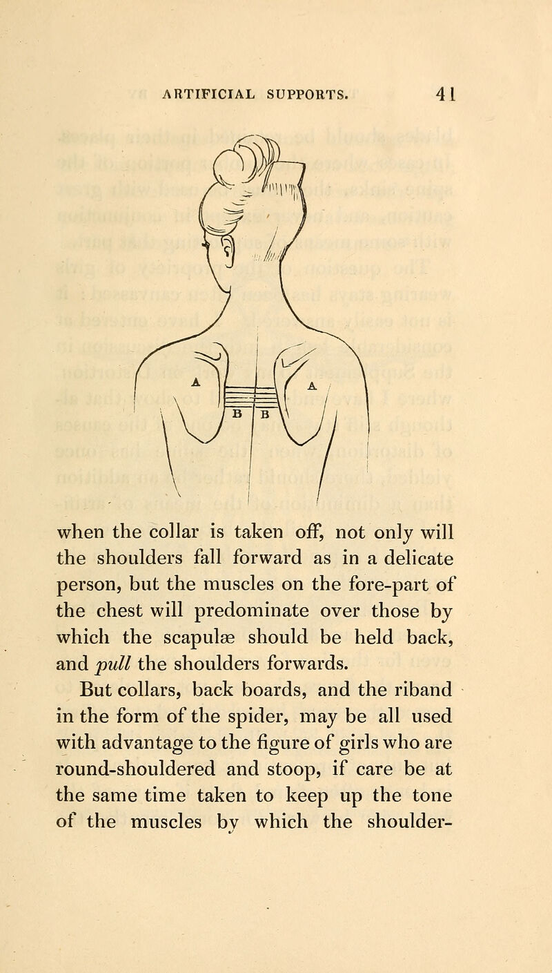 when the collar is taken off, not only will the shoulders fall forward as in a delicate person, but the muscles on the fore-part of the chest will predominate over those by which the scapulse should be held back, and pull the shoulders forwards. But collars, back boards, and the riband in the form of the spider, may be all used with advantage to the figure of girls who are round-shouldered and stoop, if care be at the same time taken to keep up the tone of the muscles bv which the shoulder-