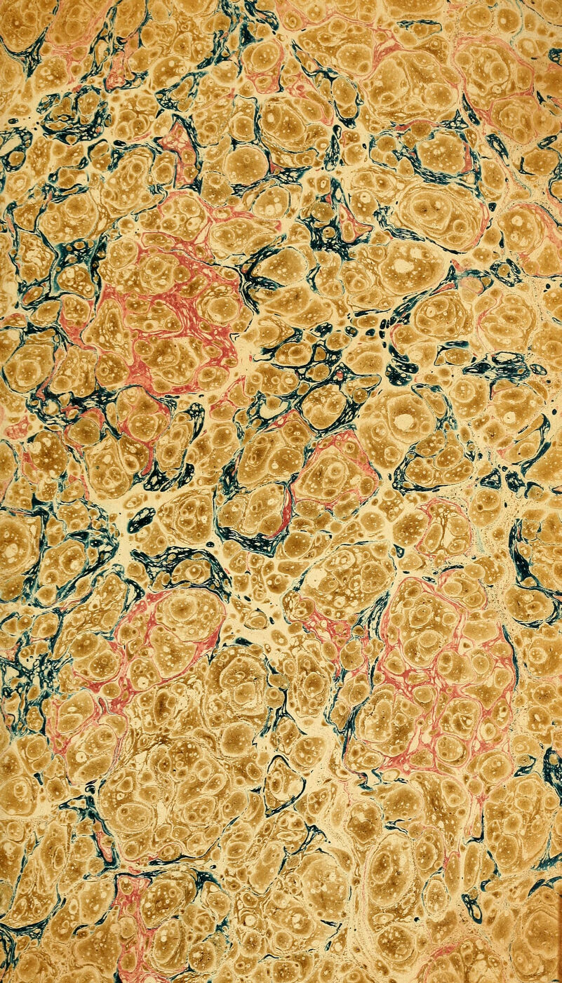 V, ^-r '^ ■a )' Wj^mS< ^ ^ t'V '^<4tf»^ kifc*'-^/^- ^^^-'- «^' 'vi^iV