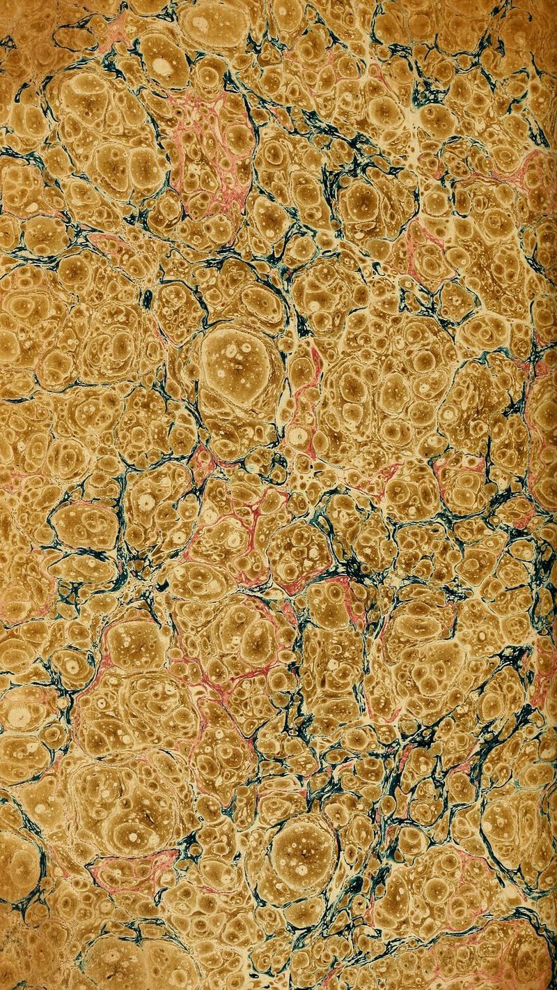 .^' ^^ ''^^mSm^^i^^''-'' ff^ ^ '/^ ^5^ J ?%■ Y \ r ^r 4