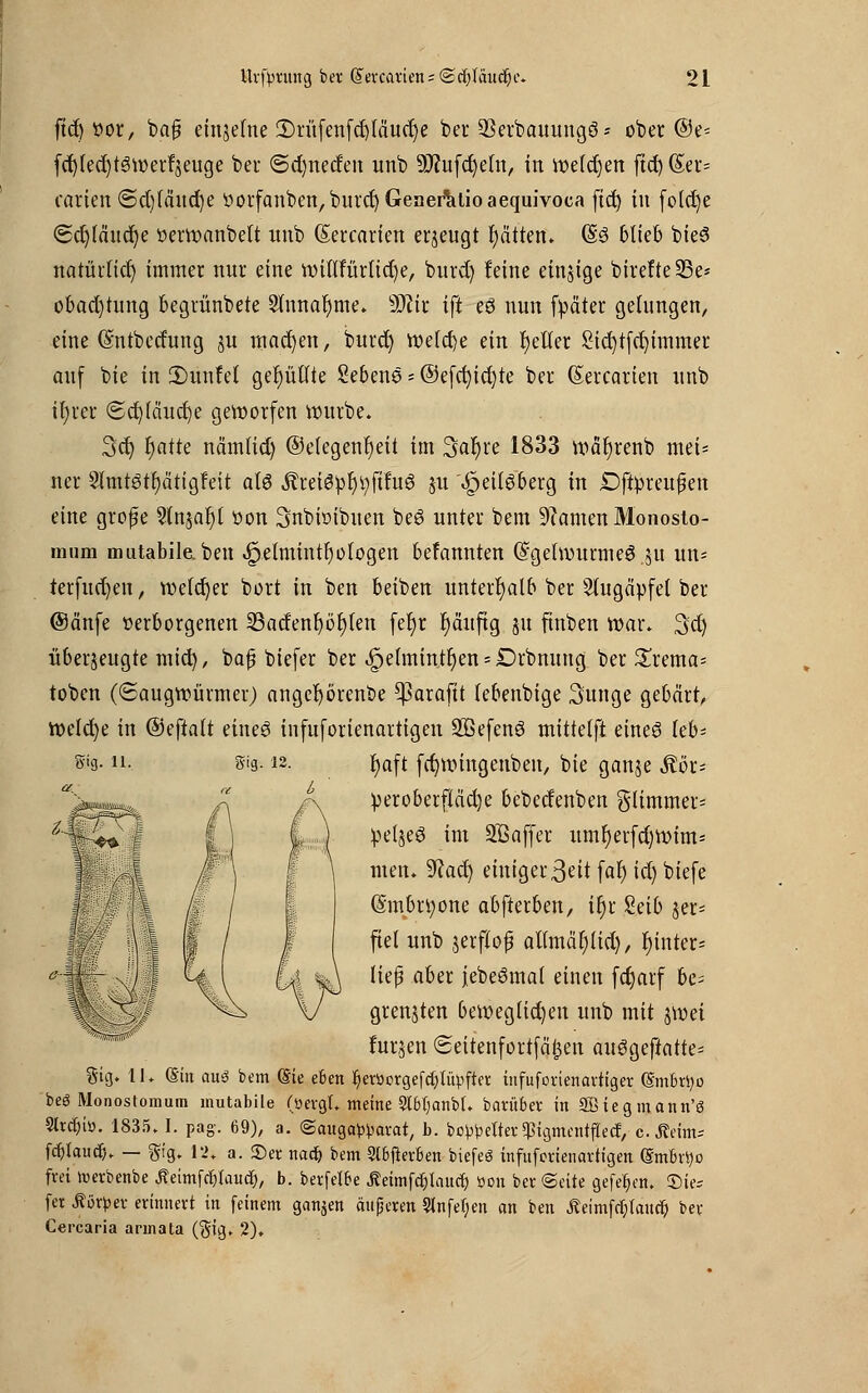 ftd) »or, ba^ einzelne 2)rüfenfd)läucr)e ber SBerbauungö* ober @e= fd)Ied)tStt)erfjeuge ber <Sd)neden unb 3J?ufdjeln, in meieren ftd) (5et*= carien <Sd)Iäud)e öorfanben,burcr)Gener^lioaequivoca fid) in fotct)e <5d)fchtcr)e öerroanbelt unb ßercarien erzeugt t)ätten» (§3 blieb bieS natürlid) immer nur eine nnnfürtidje, burd) feine einige birefte23e* obad)tung begrünbete 2hwar)me.. dJik ift e£ nun fpäter gelungen, eine Gmtbetfung ju machen, burd) toekfye ein geller £id)tfd)immer auf bie in £)unfel gefüllte Sebene = @efd)id)te ber (Sercarien unb ifyrer (5cr/(äud)e geworfen ttmrbe. 3ct; r)atte näm(id) ©e(egenr)eit im 3ar)re 1833 wätyrenb mei- ner 5Jfmtötf)ättgfeit a(3 Ärei3pr)i;ftfu6 ju ^eilgberg in Dftpreufen eine grofe 2(njar)( oon Snbinibuen beS unter bem tarnen Monosto- mum mutabile. ben .^elmintr) otogen befannten Q?ge(rourme6 ^u un* ter(ud)en, weicher bort in ben beiben unterhalb ber Augäpfel ber @änfe verborgenen 23adenfjöt)(en fetjr fyäuftg ju ftnben war. 3d) überzeugte mid), baf biefer ber 4?ehnintr)ens£>rbnung ber £rema= toben (©augwürmer) angefyörenbe Cßaraftt lebenbige 3unge gebärt, Welche in ©eftatt eine6 infuforienarttgen 2ßefen3 mittetft eines leb- Sig. 11. gig. 12. fyaft fcfyroingenben, bie ganje Äöc* oeroberftäd)e beberfenben gtimmer= oeljeS int Sißaffer umfyerfdjtoims men. $la$) einiger 3üt faf) id) biefe (Smbrtyone abfterben, ir)r Seib jer= fiel unb jerfloj? aümäfjtid), runter* liep aber jebeömat einen fetjarf be= grenzten beweglichen unb mit jroet furjen 8eitenfürtfä£en an$Qtftatte* §tg. IL (Sin au$ bem (Sie efcen ^eryorgef^tüpftet infuforienartiger (Smbrtyo beö Monostomum mutabile (öergl* meine 2t6ljanbf. borüber in 2Biegmann'ö 2lrcf)iö. 1835.1. pag. 69), a. ©augo^avat, b. bereiter ^igmentfieef, c. Äeim-- fcfjtaucr). — §ig. 12. a. £>er nctd& bem 3l6fier6en biefeö infuferienartigen (Embryo frei toerbenbe ^eimfcfytaucf), b. berfelfre Äeimfdjtaucr, »on ber (Seite gefe^en. ©ie* fet Körper erinnert in feinem ganjen änderen Slnfefjen an ben Äeimfrfyrancr, ber Cercaria annata Cgig. 2).