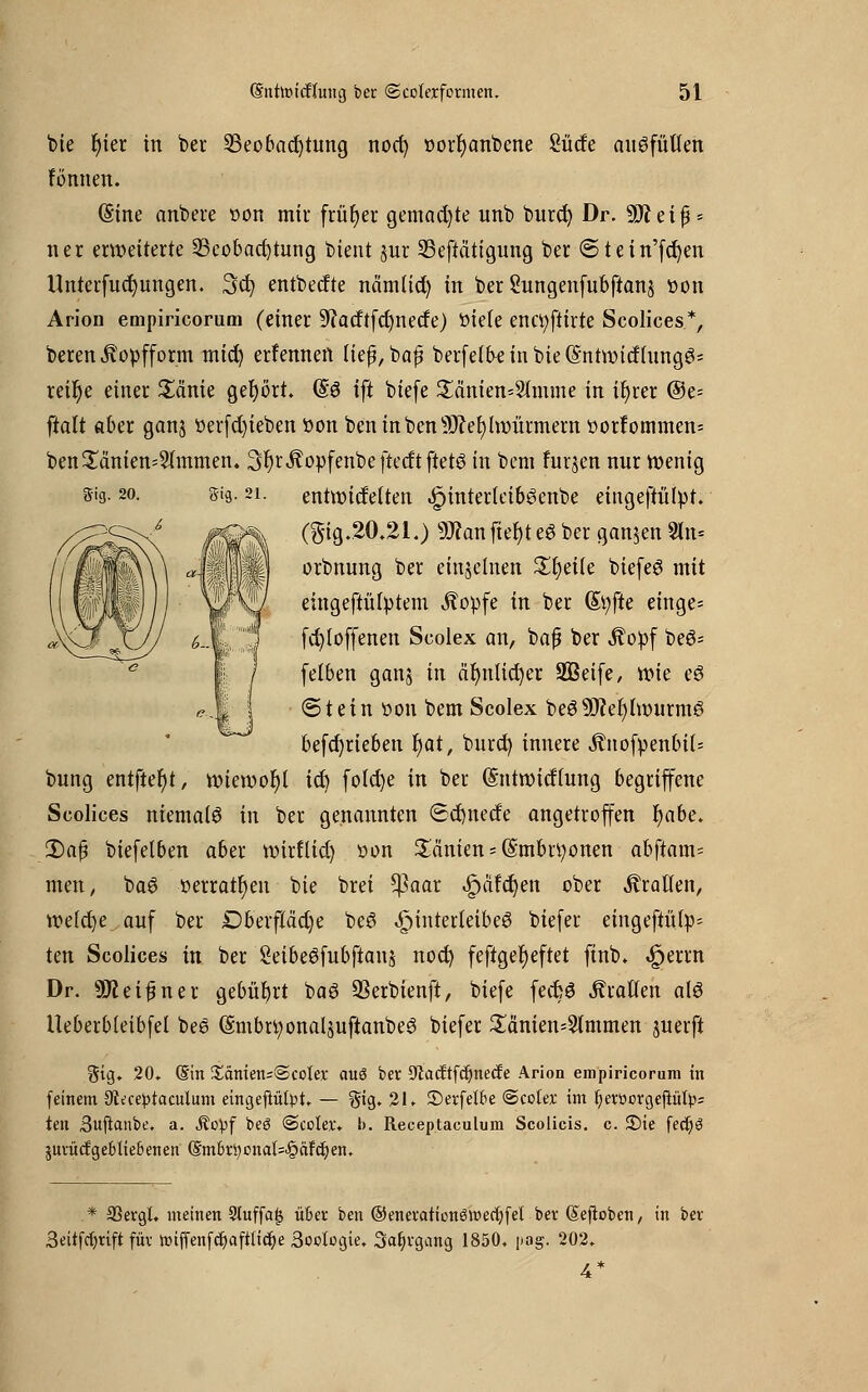 bie f)ier in ber Beobachtung nod) ttorfyanbcne Sude auffüllen fannen. (Sine anbere non mir früher gemalte unb burd) Dr. 9J?eif * ner erweiterte Beobachtung bient §ur Betätigung ber @tein'ftf)en Unterfudjungen. %d) entbecfte ncimlid) in ber Sungenfubftanj tton Arion empiricorum (einer 9(atftfd)nerfe) »tele enctyftirte Scolices*, beren Kopfform mtc^ erfennen liefj,baf? berfeifre in bie (Entwirflungö* reifye einer £anie gehört. (£$ ift btefe £änien=2lmme in ifjrer ©e= ftaft aber ganj üerfd)ieben tton ben inbcn^efylwürmern ttortommen= ben£änien=2(mmen. 3r)rÄopfenbeftecftftetö in bem furjen nur wenig s-ig. 20. s-is- 2i- entwicMten ^interlei66cnbe eingeftülpt. (§ig.20.21.) 9J?anfter)te3 ber ganzen 2ln= orbnung ber einzelnen Steile biefeg mit eingeftülptem Äopfe in ber (Styfte einge- fcfyloffenen Scolex an, bafj ber Äottf be6= felben gan§ in äfynlicfyer Sßeife, wie eö (Stein tton bem Scolex be39D?et)iwurmg befcfjrieben r)at, burd) innere $nofpenbü= bung entfter/t, wiewohl irf) fold)e in ber (Sntwidhmg begriffene Scolices niemals in ber genannten 6d)nede angetroffen fyabe. £>afj biefetben aber wirflid) tton Manien = (Smbrttonen abftam= men, ba6 tterratt)en bie brei Cßaar .§>äfcr)en ober Äratfen, welche auf ber Dbevffädje be£ Hinterleiber biefer eingeftvUp= ten Scolices in ber Seibeöfubftauj nod) feftgerjeftet ftnb. «£>errn Dr. ÜJteifjner gebührt baö Berbienft, btefe fecfcö ÄraUen alö Ueberbleibfel beS (Smbrt;onal$uftanbe3 biefer £änien=2lmmen juerft Sig. 20, (Sin Xänim-'ScoUx auö ber 9>lacftfcr)necfe Arion empiricorum in (einem Stt'ceptaculum eingeflutet — gig. 21. ©erfel&e ©coter im l)erttorgejiüfy= ten Suftanbe. a. Äopf beg @cclex\ b. Receptaculum Scolicis. c. £)ie fecr)3 jurücfgebliebenert (Smbrt)onal=£cifcr)en,. * 33ergl. meinen Stuffa| über ben ©enerationgwecfyfei ber (Seftoben, in ber 3eitfcr)rift für wiffenfcfyaftiicfye Soctogie, 3at)rgang 1850. pog. 202. 4*