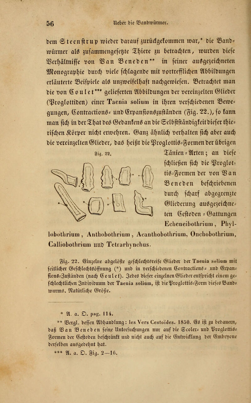 bem ©teenftrup wieber barauf äurücfgeTommen war,* bie 23anb= Türmer als sufammengefefjte 2!r)iere ju betrachten, würben biefe 3Sert)ältniffe tton SS an SBeneben** in feiner ausgezeichneten 9J?onogra:pl)ie burot) »tele fct/lagenbe mit r>ortrefflid)en 5lbbilbungen erläuterte S3eifpiele atö unzweifelhaft nacfygewiefen. 33ctrad)tet man bie tton (E o u 1 e t *** gelieferten 2lbbi(bungen ber vereinzelten ©lieber (^rog(ottiben) einer Taenia solium in ir)ren t>erfcr)iebenen 33ewe= gungen, (SonttactionS* unb (Srpanfton^uftänben (gig.22.),fo fann man ftd) in ber £r)at bes ©ebanfenS an bie ©elbftftänbigfeit biefer tr)ie= rifcfyen Körper nicf)t erwehren, ©anj äfynlicr) »erhalten fteft, aber aud) bie vereinzelten ©lieber, baS fyeifjt bie *)3roglotti34$'onnen ber übrigen gig, 22. Manien - Wirten; an biefe fd)liefjen ftd) W $rog(ot= ti^gormen ber twnSan 33 e neben befctjriebenen burd) fd)arf abgegrenzte ©lieberung auögezeidjne-- ten (Seftoben - ©attungen Eeheneibothrium, Pbyl- lobutbrium , Anthobotbrium , Aeanthobotbrium, Onchobothrium, Calliobothrium unb Tetrarhynchus. gig. 22. ©injelne abgelöfte gefcl)lecr)t<3reife ©Heber ber Taeoia solium mit feitlidjer ®efcr)ledb)tööffnung (*) unb in üerfdjiebenen (5ontraerion3 = unb f&xpan: fxonö;,3ujlänben (naef) (Soulet). Sebeö biefer einzelnen ©lieber entftmctjt einem ge= fcfyledjtlicfyen Snbuubmim ber Taeoia solium, ift bie^roglettiö=germ biefeö93anbz rourmö. 9tatürlicr)e @ri)f?e. * 91. a. £>. pag. 114, ** SSergl. beffen 9tbr;anbhmg: les Vers Cestoides. 1850. @ö ift ju bebauern, bafj 33 an Seit eben feine UnterfucJjungen nur auf bie ©colers unb ^roglettiäs Sonnen ber (Seficben befdjränft unb nicfyt aucr) auf bie (Sntnucflung ber (Smbrtycne berfelben auögebefynt t)at. *** 9t. a. O. gig. 2-16.