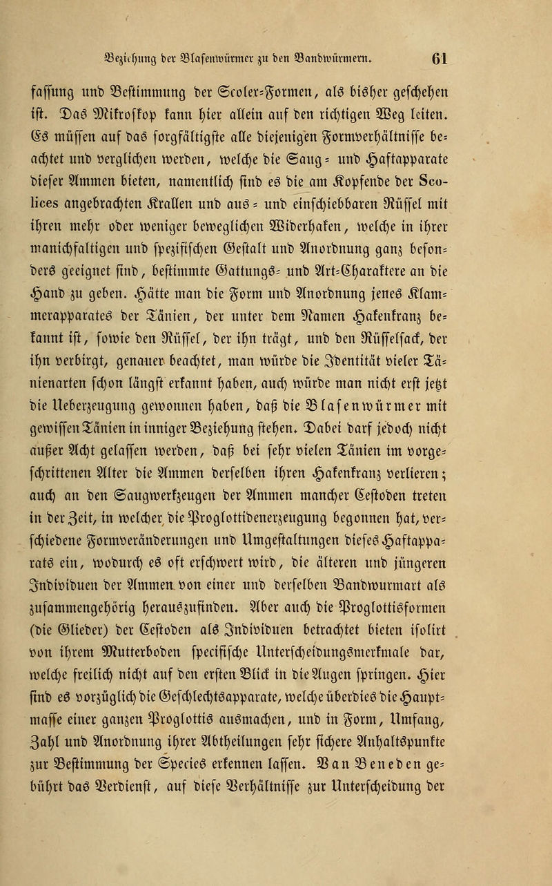 faffung unb 33efttmmung ber (5co(er=$ormen, als 6iöf>er gefcfyefjen ift. 3)a8 ?DZtfroffo^ fann r)ier allein auf ben richtigen 2ßeg leiten. (So muffen auf baö forgfältigfte alle biejenig'en gormöerfyättniffe be= acfytet unb üerglicrjen werben, welche bie @aug = unb «£>aftapparate biefer Slmmen bieten, namentlich ftnb eS bie am «ftopfenbe ber Sco- lices angebrachten Prallen unb aus * unb einfcfyiebbaren Büffet mit it)ren met)r ober weniger beweglichen 2Btberr)afen, welche in ir)rer manicf) faltigen unb fpejififcf)en ©eftalt unb SJnorbnung gan§ bcfon= berö geeignet ftnb, beftimmte @attung£= unb 5lrt=(St)araftere an bie «£>anb ju geben, feattt man bie gorm unb Stnorbnung jenes Älam- merapparateS ber Manien, ber unter bem Tanten «llpafenfranj be* fannt ift, fowie ben Düffel, ber tfyn trägt, unb ben 9?üffelfatf, bet- tln verbirgt, genauer beamtet, man würbe bie ^bentität oieler %'ä* ntenarten fct)on längft erfannt r)aben, aurf) würbe man nicfyt erft |e£t bie lleberjeugung gewonnen r)aben, baß bie Olafen Würmer mit gewiffen Tanten in inniger 33e$ier)ung ftefyen. Qabä barffebod) nicfyt außer 9lct;t gelaffen werben, baß bei fefyr oiefen Manien im oorge= fcfyrtttenen 2Uter bie Timmen berfelben if)ren .£jafenfran$ vertieren; aud) an ben ©augwerljeugen ber 5(mmen mancher Gteftoben treten in ber Seit, in welcherbie^rogfottibenerjeugung begonnen f)at,oers fd)iebene $ormoeränberungen unb Umgeftaltungen biefeS ^aftappa^ ratS ein, woburet) eS oft erfcfywert wirb, bie älteren unb jüngeren Snbioibuen ber 2(mmen »ort einer unb berfelben SBanbwurmart a(S pfammengefyörig fjerauejuftnben. Slber aitct) bie *JkoglottiSformen (bie ©lieber) ber (Seftoben als Snbioibuen betrachtet bieten ifolirt t»on ifyrem SDfutterboben fpeciftfct)e UnterfcfyeibungSmerfmale bar, welche freiltct) nid)t auf ben erften 33(tcf in bieSlugen fpringen. ^ier ftnb eö oorjügtid) bie ©efd)lecb,t6apparate, weld)e überbieg bie -£>aupt= maffe einer ganzen ^3rog(ottt6 ausmachen, unb in $orm, Umfang, 3at)( unb Slnorbnung ir)rer 5lbtf)eiiungen fel)r fiebere Slnf)a(tSpunfte $ur SBeftimmung ber ©pecieö erfennen iaffen. SS an 33 en eben ge- bü^tt baö SSerbienft, auf biefe 33er^ättniffe jur Unterfcfyeibung ber