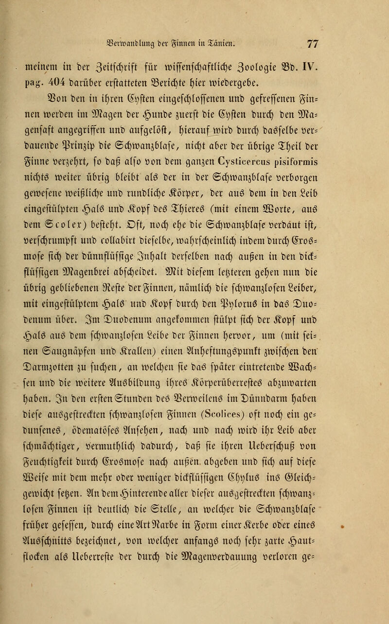 meinem in ber 3eitfct;rift für wiffenfd)aftlict)e 3oo(ogie 33b. IV. pag. 404 barüber erftatteten 23erid)te fyier wiebergebe. 93on ben in ir)ren (Soften eingefdjt offenen unb gefreffenen gin* nen werben im SDfagen ber «£wnbe juerft bie Soften burrf) ben 9J?a= genfaft angegriffen unb aufgetöft, hierauf wirb burd) baöfelbe »er* bauenbe ^rinjip bie ©cfywanjblafe, nic^t aber ber übrige £r)eil ber ginne tter$er)rt, fo baf atfo tton bem ganjen Cysticercus pisiformis nichts weiter übrig bleibt alö ber in ber ©djwanjblafe »erborgen gewefene weif ticfye unb runblicf)e Körper, ber aus bem in ben %üb eingebüßten £a(6 unb Äofcf beS £r)iere6 (mit einem SBorte, auö bem ©coler) befteftt» Dft, nod) e^e bie ©djwanjblafe »erbaut ift, »etfcfyrumtoft unb coltabirt biefelbe, wafyrfcfyeinlicr) inbem burd) (Sro6= mofe ftd) ber bünnflufftge 3nr)a(t berfelben nad) auf en in ben bid= flüffigen 9)?agenbrei abfcfyeibet. SRit biefem lederen ger)en nun bie übrig gebliebenen 9?efte berginnen, nä'mlid) bie fcfywanjtofen Seiber, mit eingebüßtem £alg unb ^o»f burd) ben $t)loru£ in ba6 2)uo= benum über. 3m 2)uobenum angekommen ftülpt ftd) ber Äopf unb «frnlö auö bem fd)Wanj(ofen %äbe ber ginnen r)enwr, um (mit fei* neu (Saugnäpfen unb Prallen) einen 2lnr)eftunggpunft ^wifc^en ben' 2)armjotten ju fucfyen, an we(d)en fte baö fpäter eintretenbe äBad)* fen unb bie weitere SlueSbilbung ifyreö ÄörperüberrefteS abzuwarten fyaben. 3n ben erften ©tunben bes SSerweilenö im Dünnbarm t)aben biefe auggeftreeften fd)Wanjlofen ginnen (Scolices) oft noct) ein ge= bunfeneö, öbematöfeS 2(nfel)en, nad) unb nact) wirb ir)r Seib aber fd)mäd)tiger, tfermutl)lid) baburd), baf fte ifyren Ueberfd)uf »on geud)tigfeit burd) @ro6mofe nad) auf en. abgeben unb fid) auf biefe 2Beife mit bem mefyr ober weniger bidflüffigen (Sljtyfuö ins ©teid)= gewicht fefjen. Sin bem ^interenbe aller biefer au3a.eftredten fcr)wan§= (ofen ginnen ift beutlid) bie ©teile, au. welcher bie @d)Wan$blafe früher gefeffen, burd) eineSlrt^arbe in gorm einer sterbe ober eineö Sluöfcfynittö bejeid)net, tton weld)er anfangt nod) fef>r satte «£)aut= flotfen afö Ueberrefte ber burd) bie 9ftagem>erbauung »erloren ge=